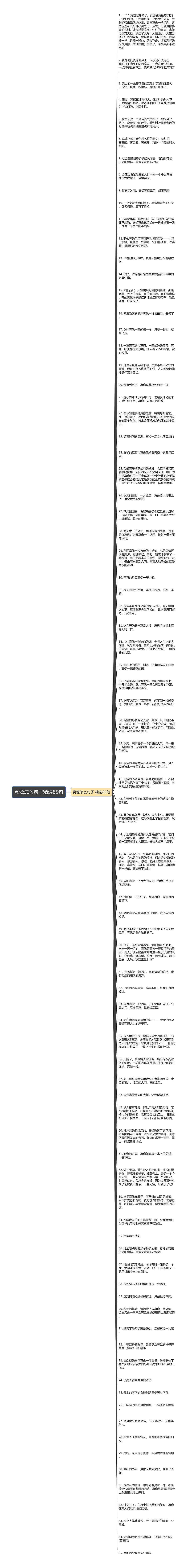 真像怎么句子精选85句