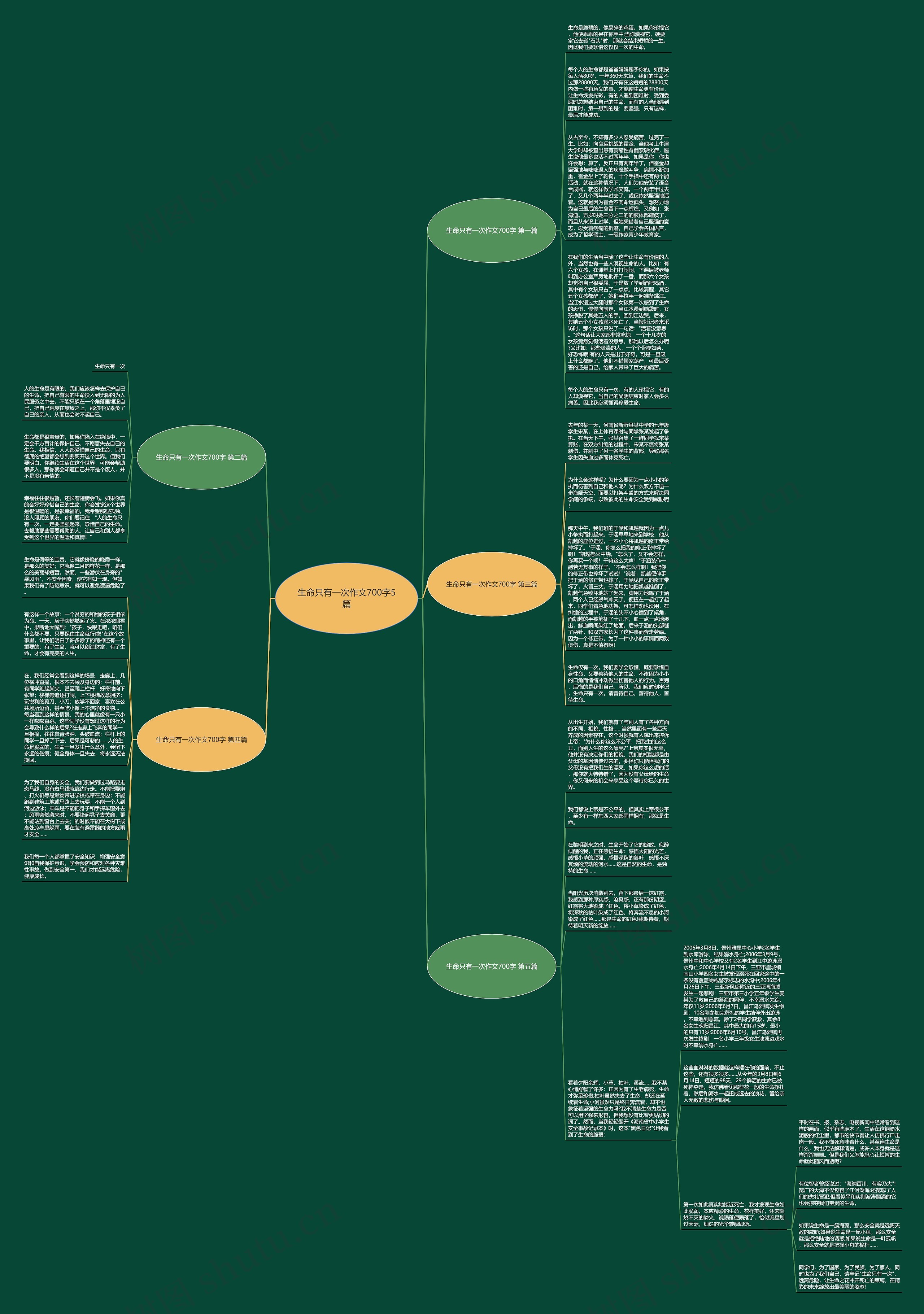 生命只有一次作文700字5篇思维导图