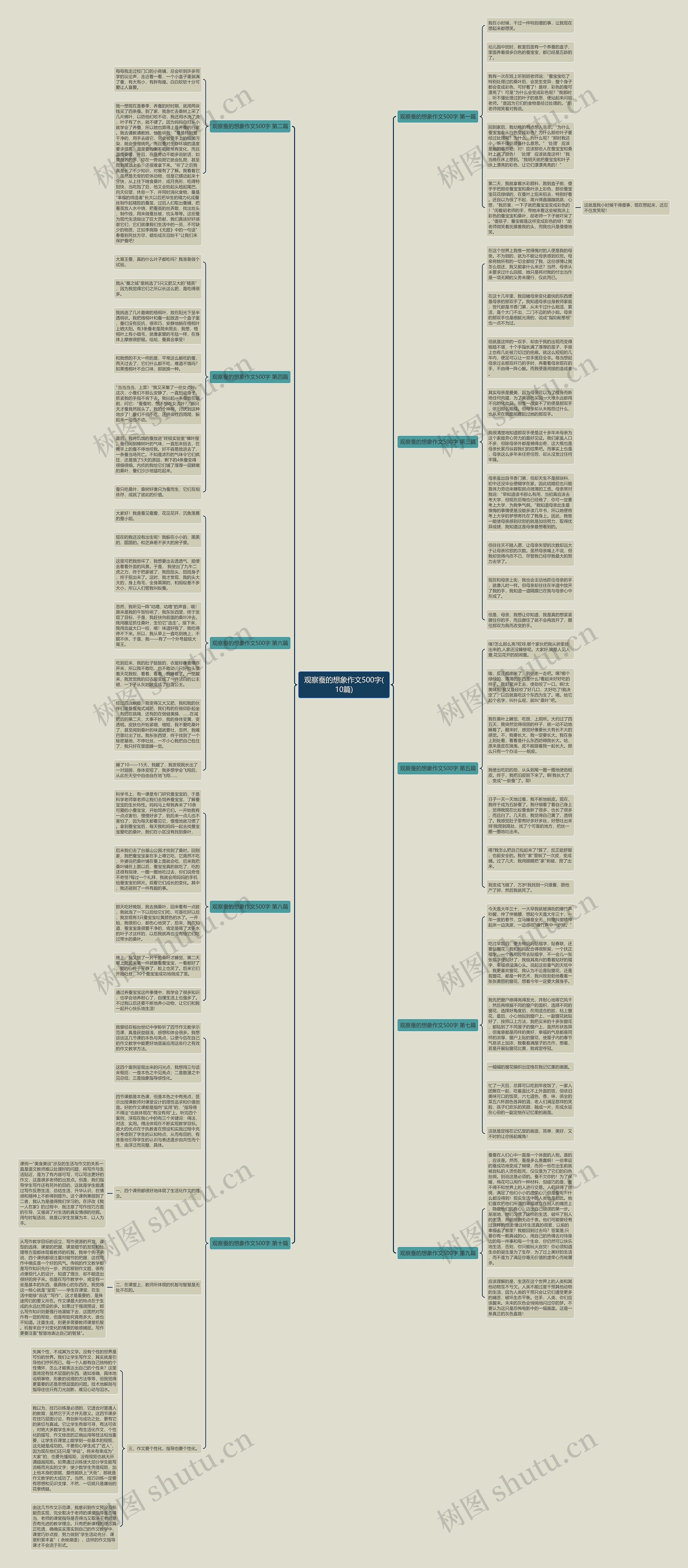 观察蚕的想象作文500字(10篇)思维导图