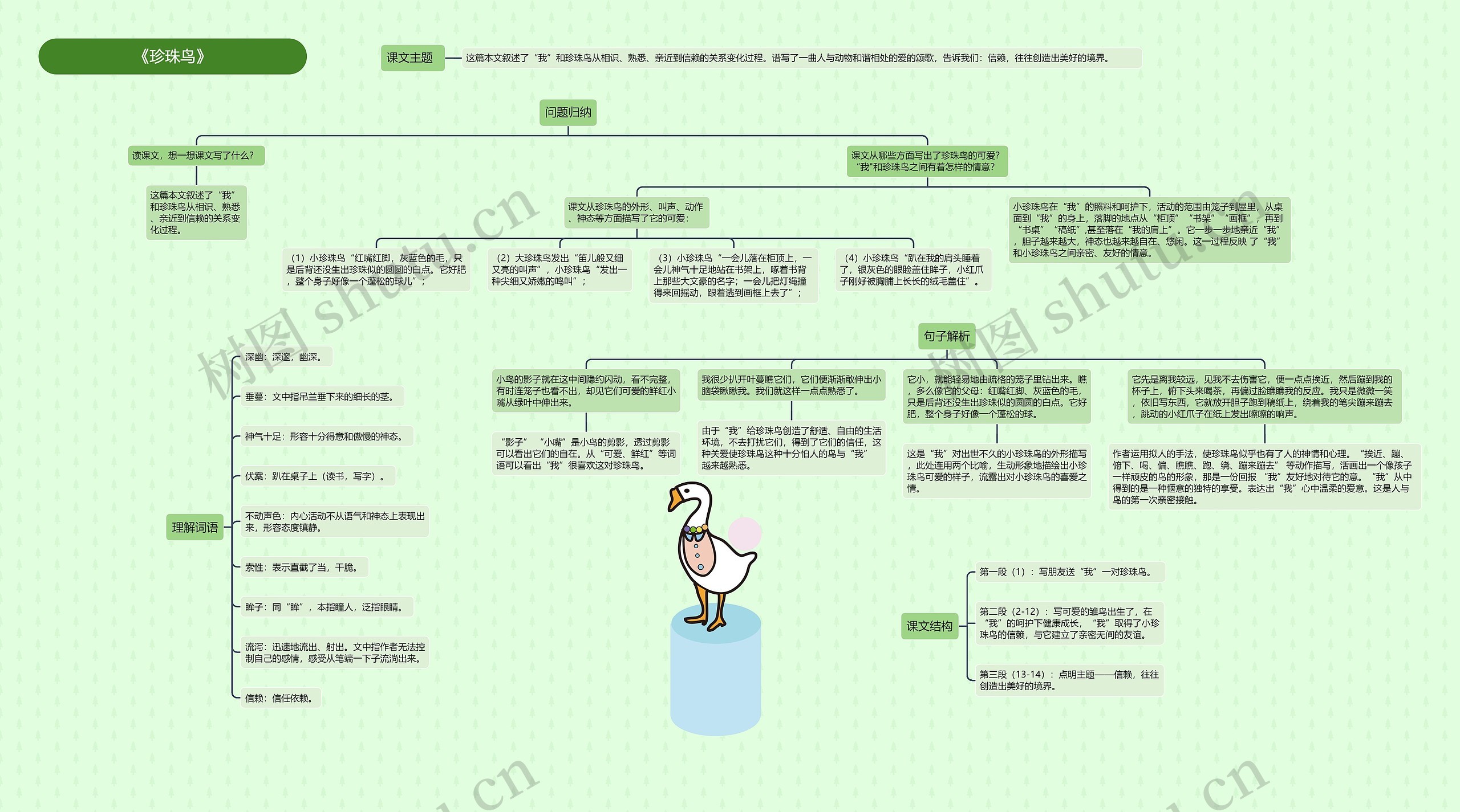 《珍珠鸟》思维导图