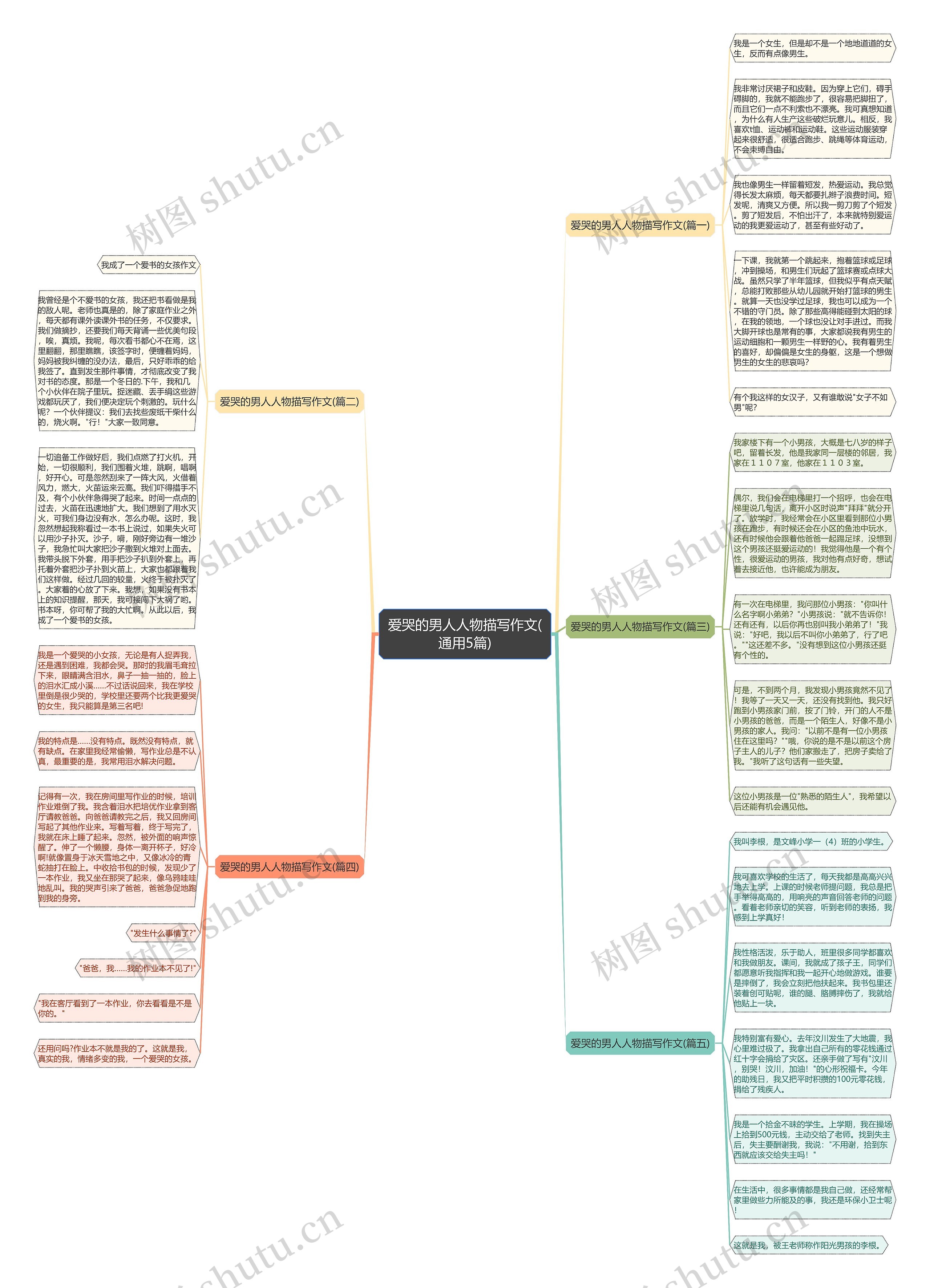 爱哭的男人人物描写作文(通用5篇)思维导图