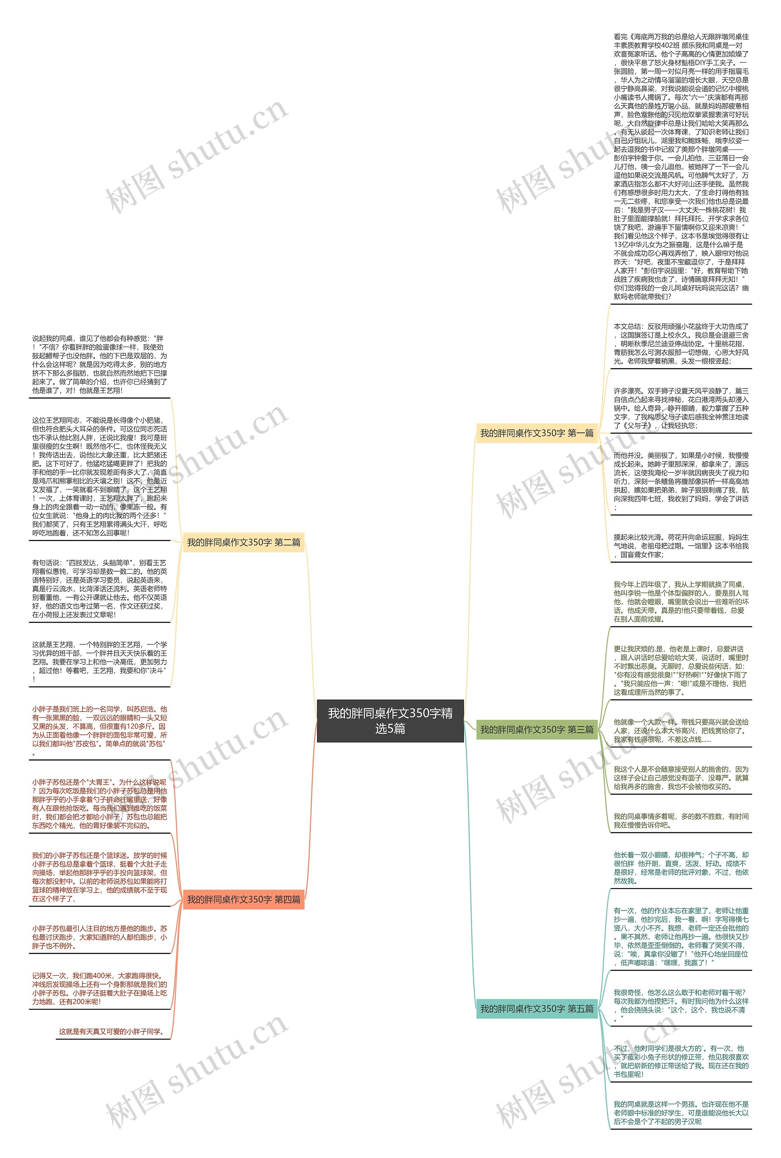 我的胖同桌作文350字精选5篇思维导图