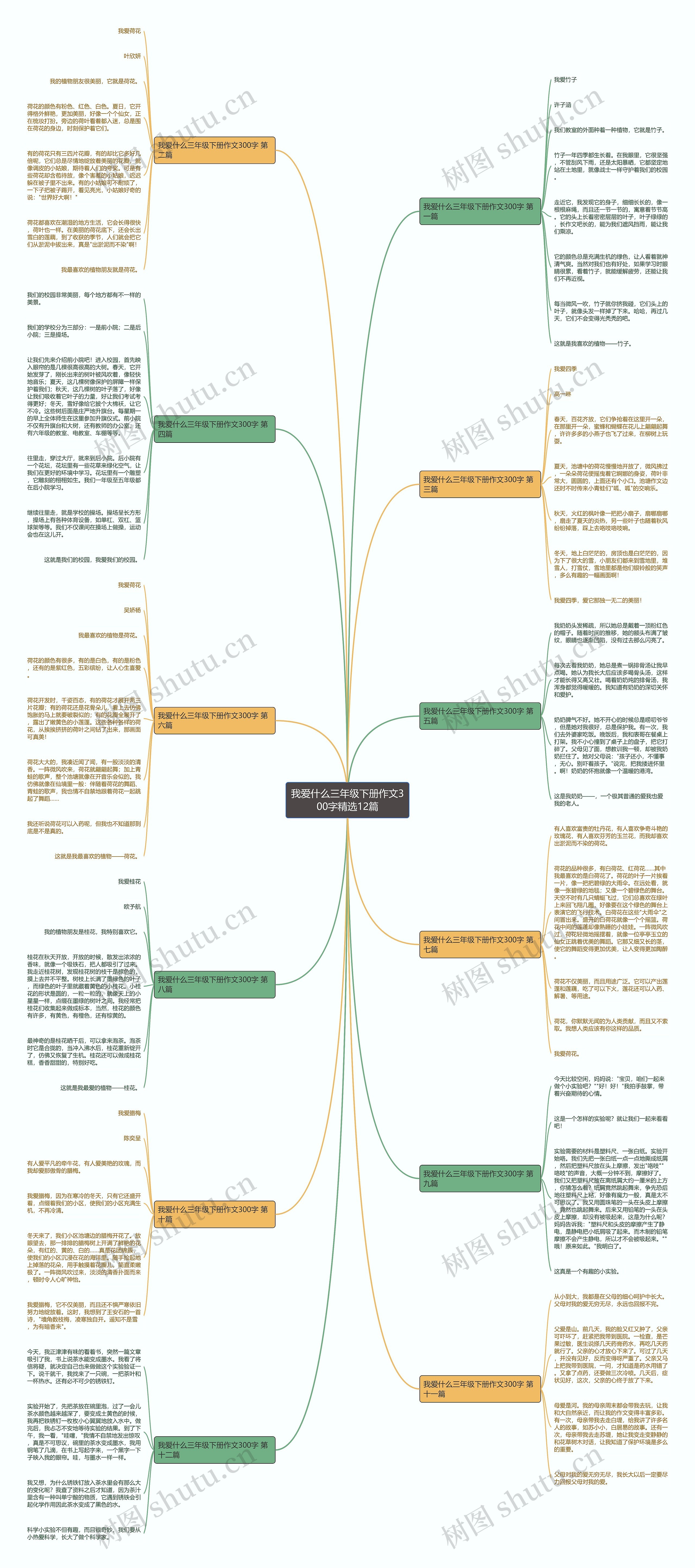 我爱什么三年级下册作文300字精选12篇 我爱什么三年级下册作文300字精选12篇