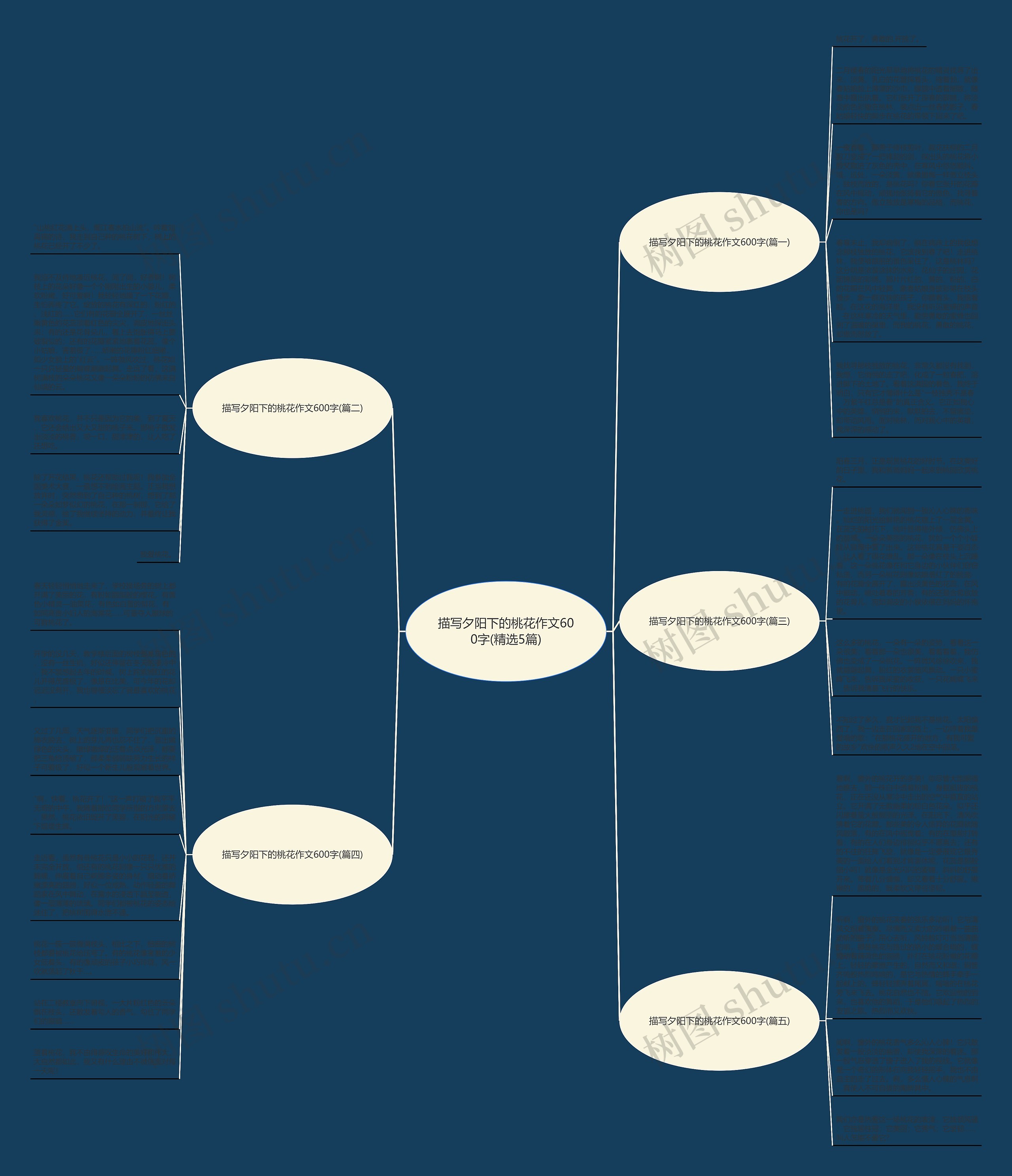 描写夕阳下的桃花作文600字(精选5篇)思维导图