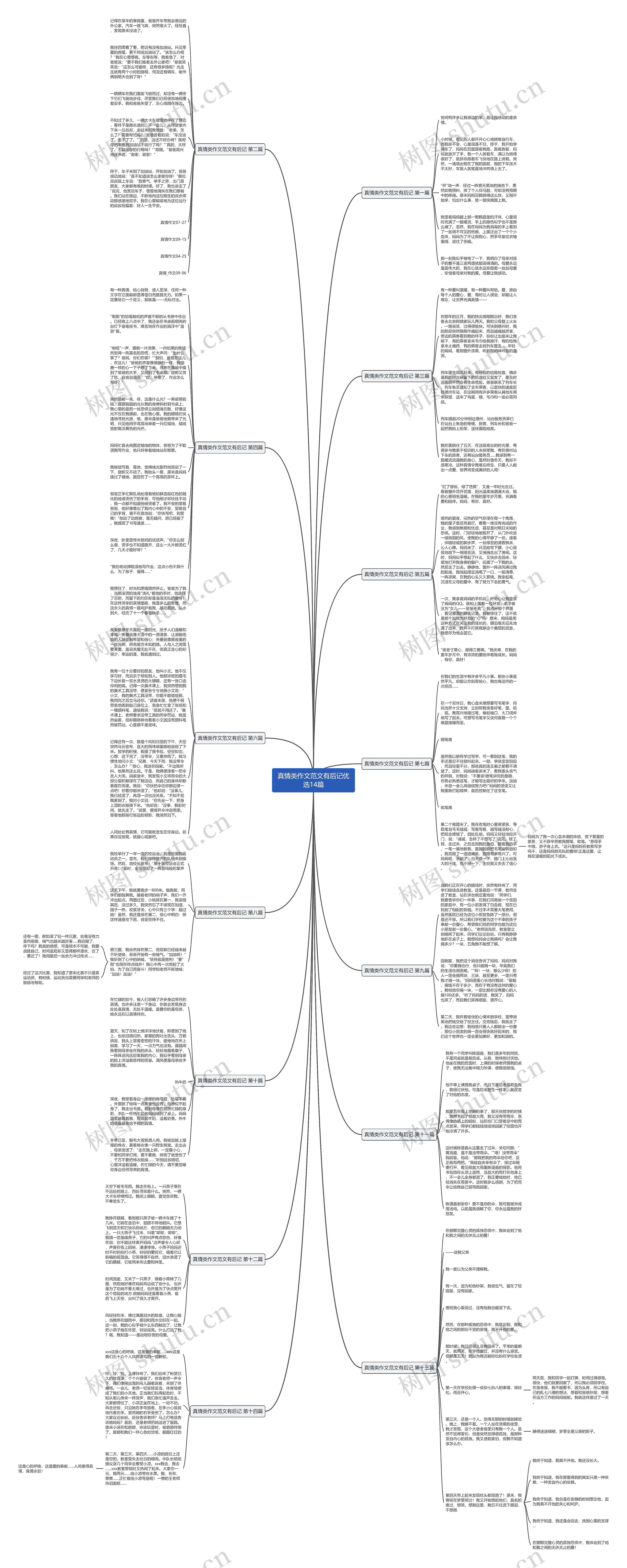 真情类作文范文有后记优选14篇