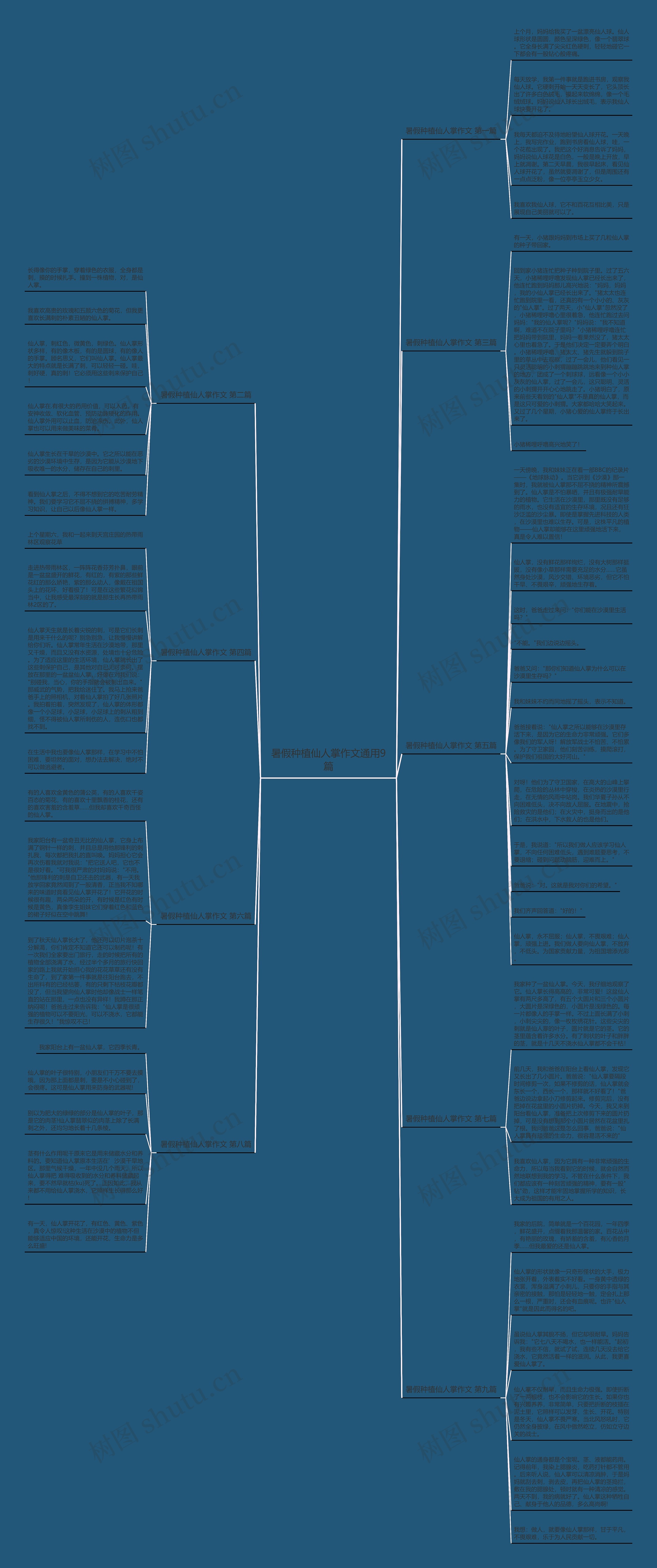 暑假种植仙人掌作文通用9篇思维导图