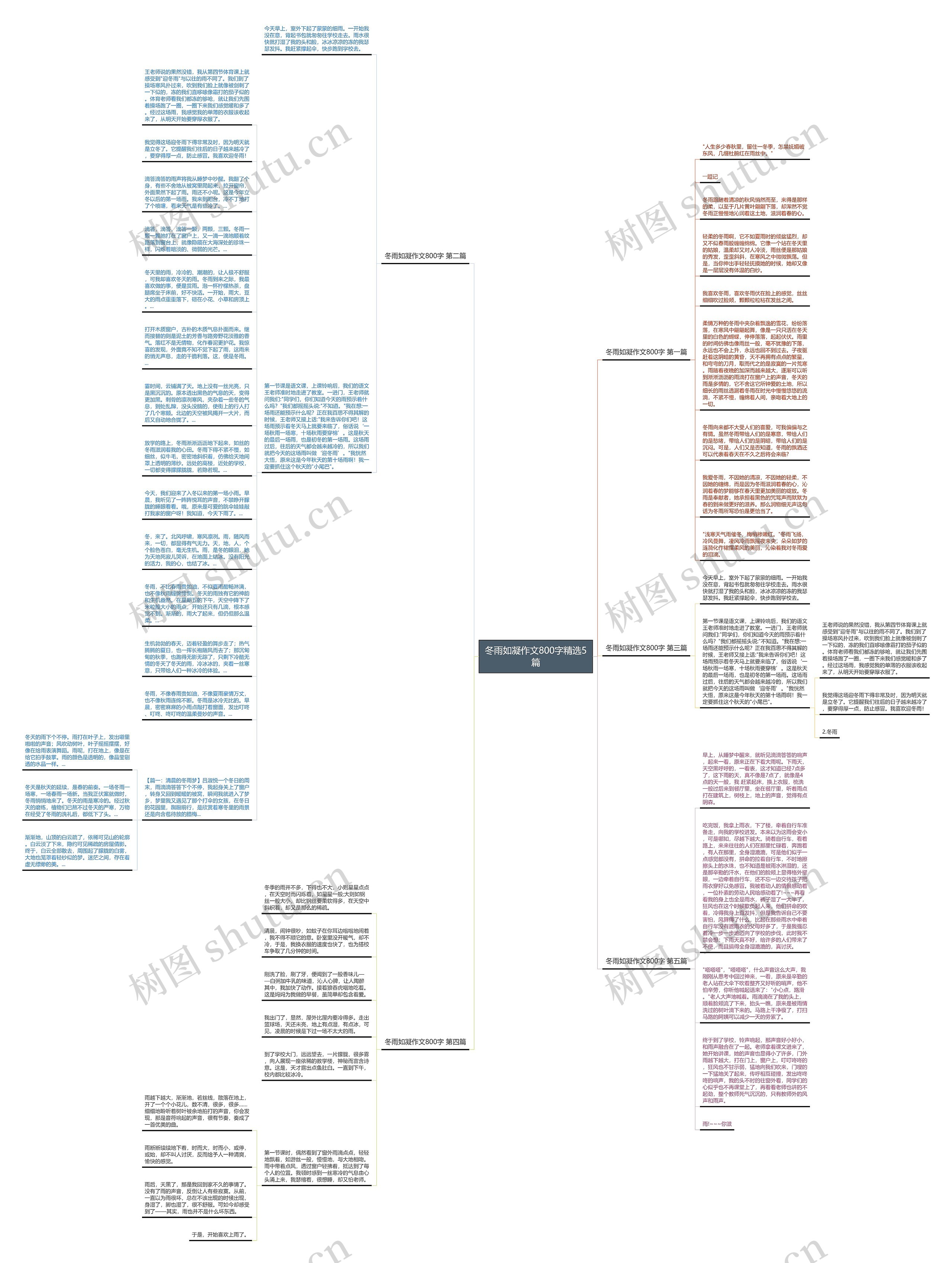 冬雨如凝作文800字精选5篇思维导图