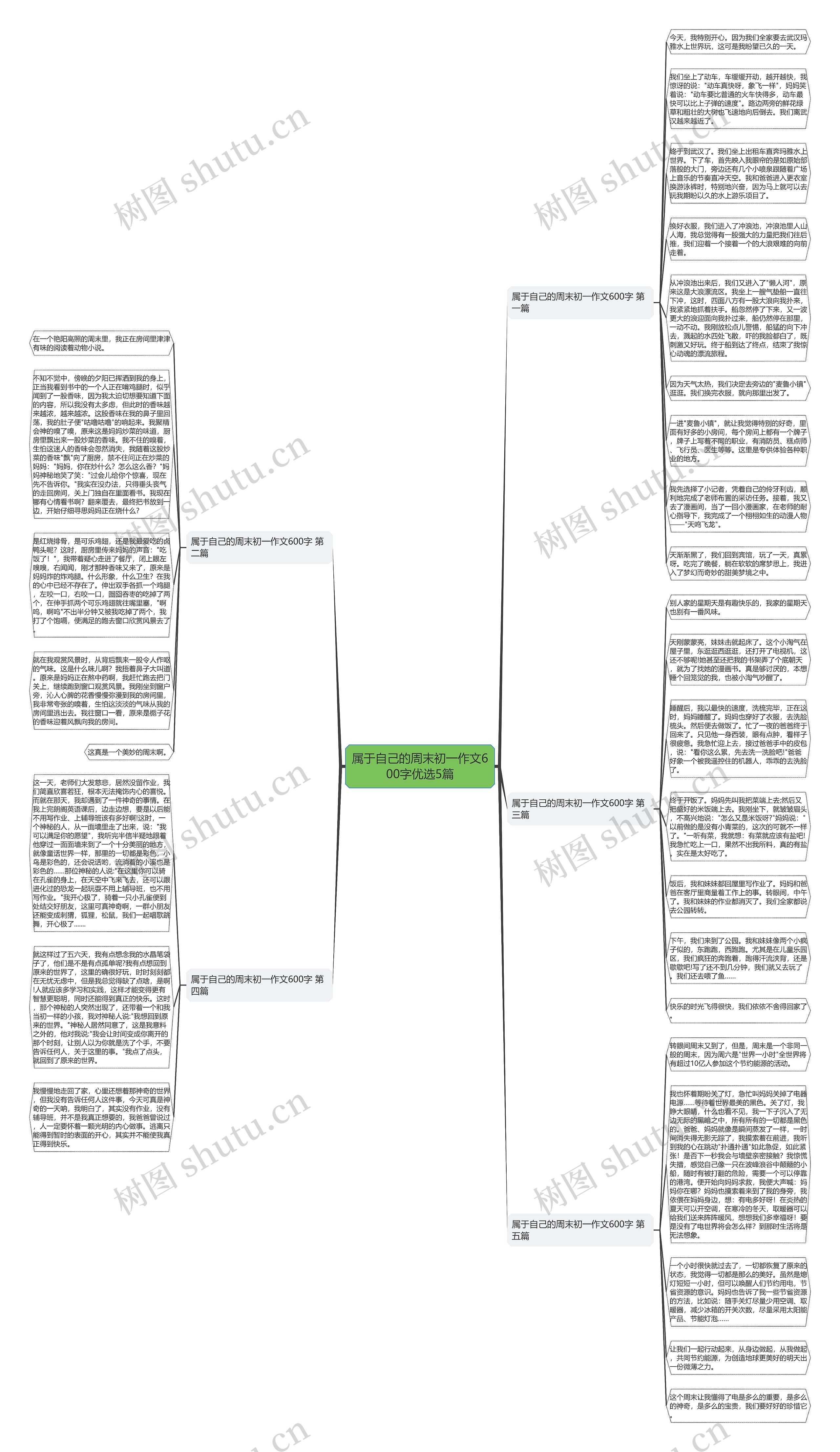 属于自己的周末初一作文600字优选5篇思维导图
