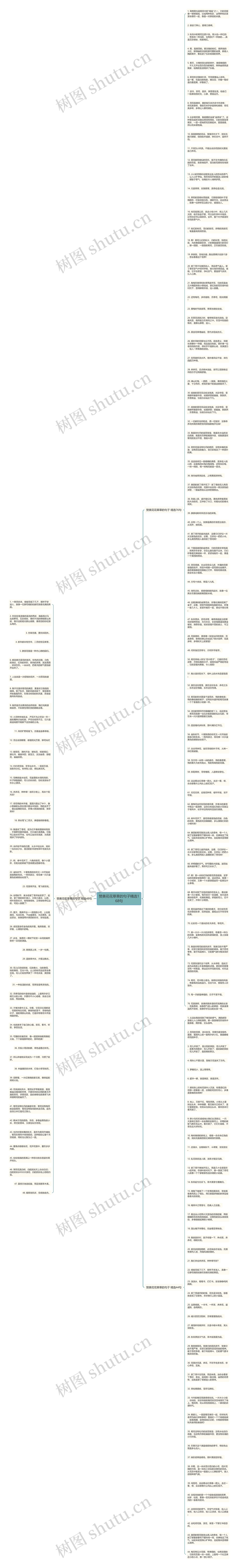 赞美花花草草的句子精选168句思维导图