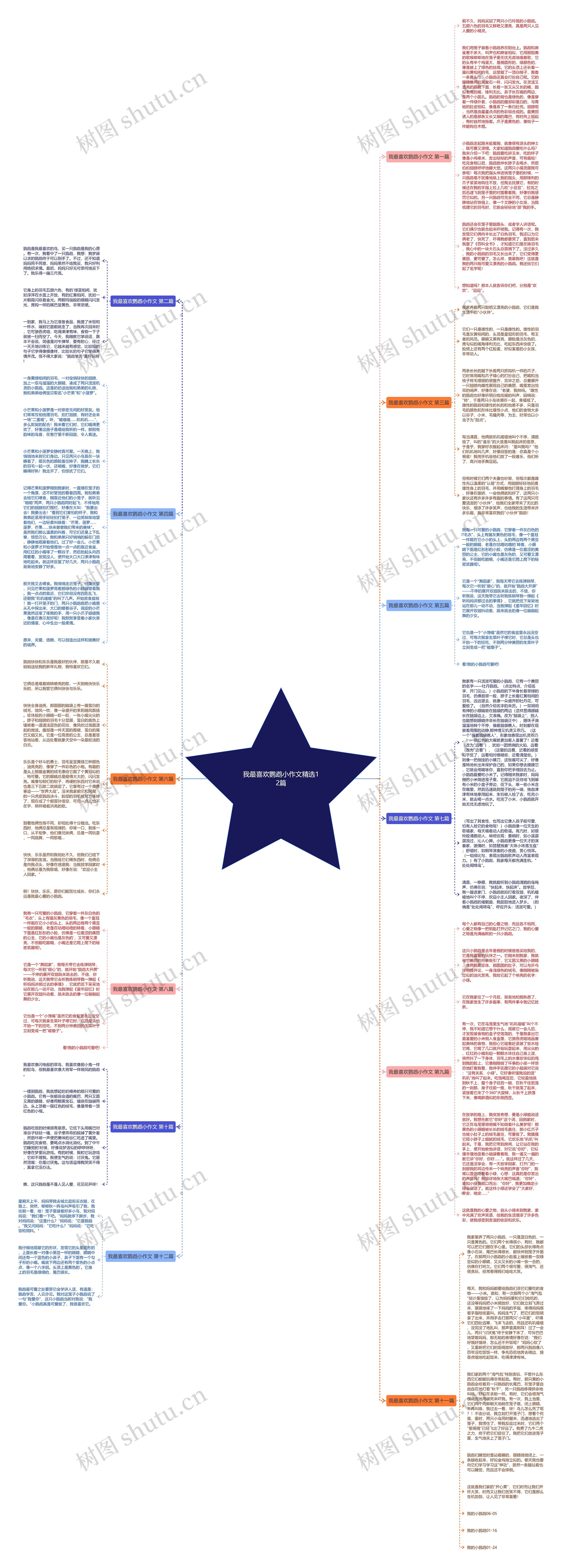 我最喜欢鹦鹉小作文精选12篇思维导图