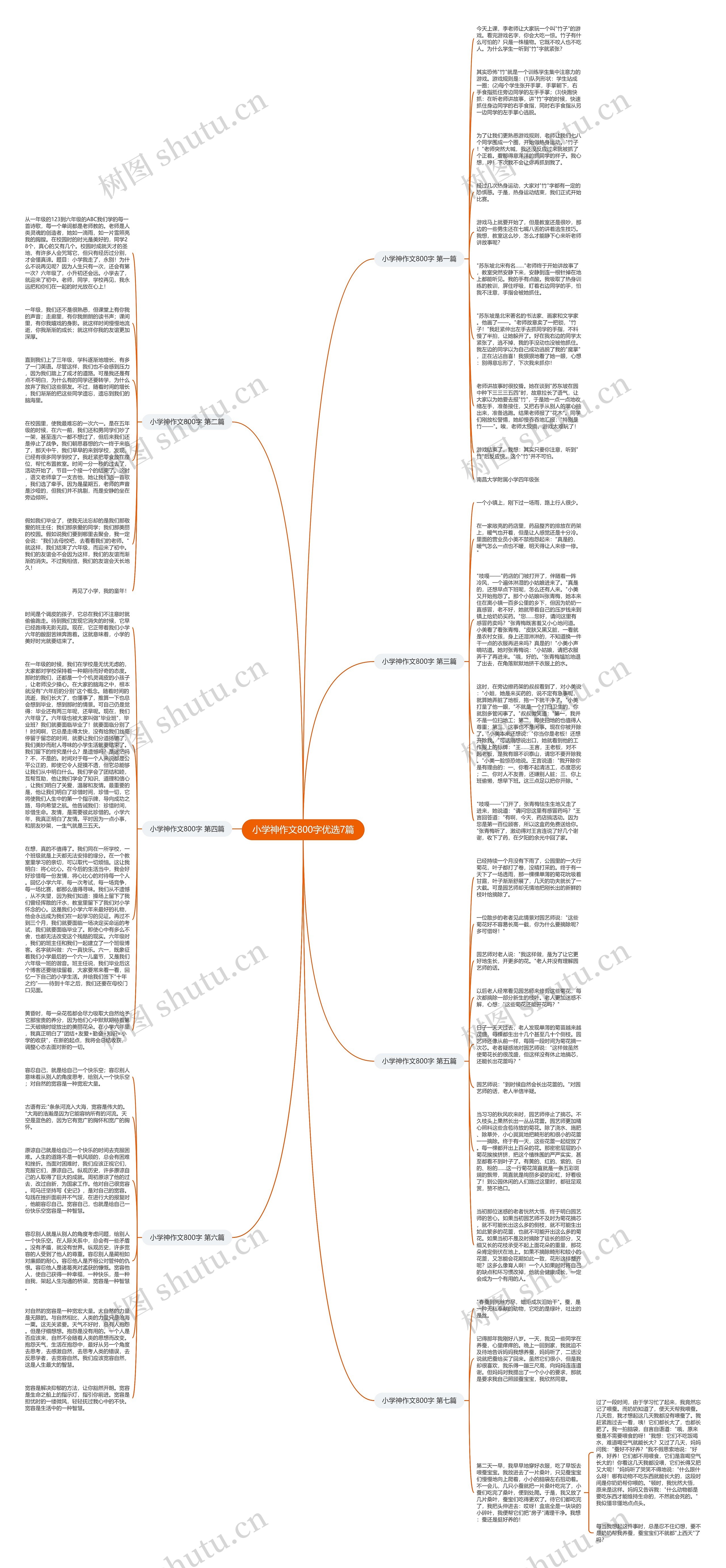 小学神作文800字优选7篇思维导图
