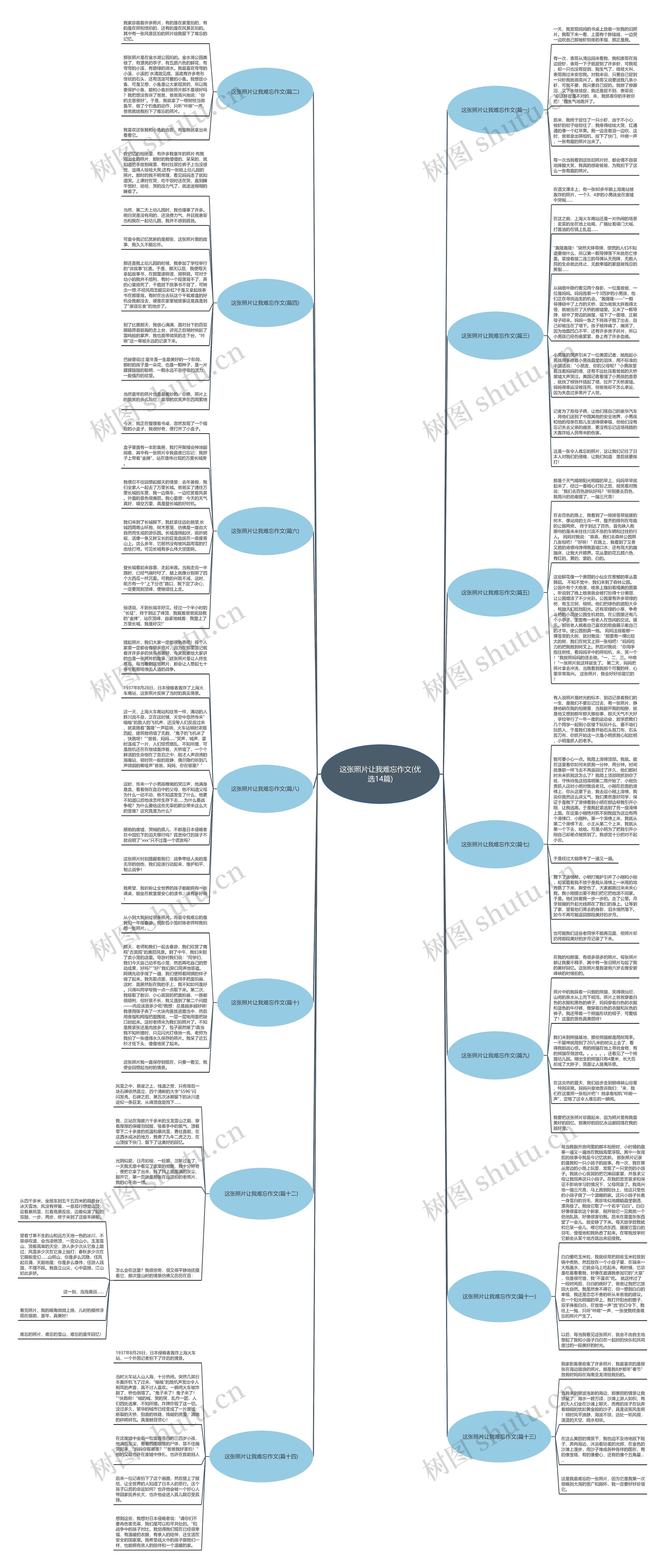 这张照片让我难忘作文(优选14篇)思维导图