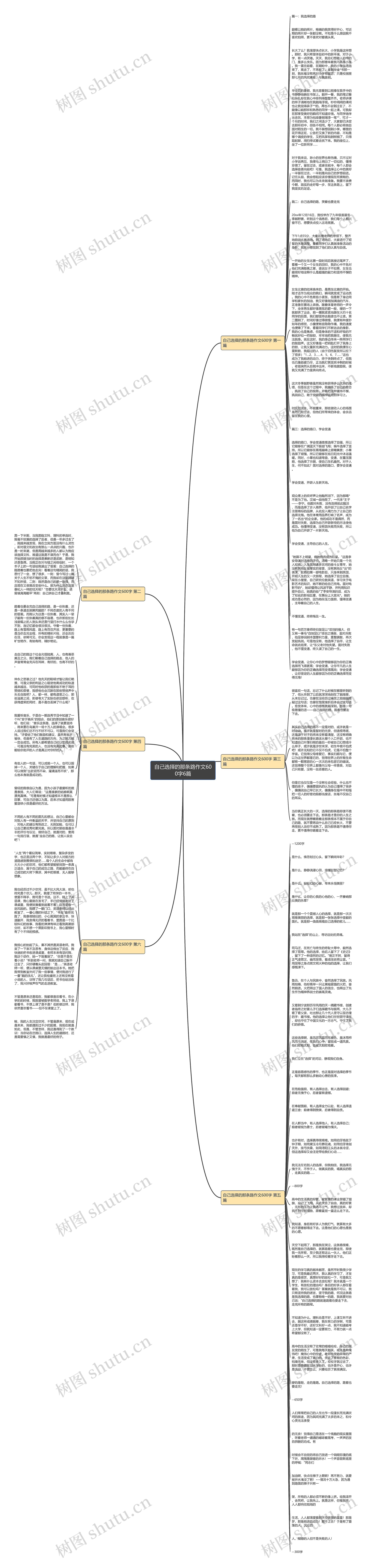 自己选择的那条路作文600字6篇思维导图
