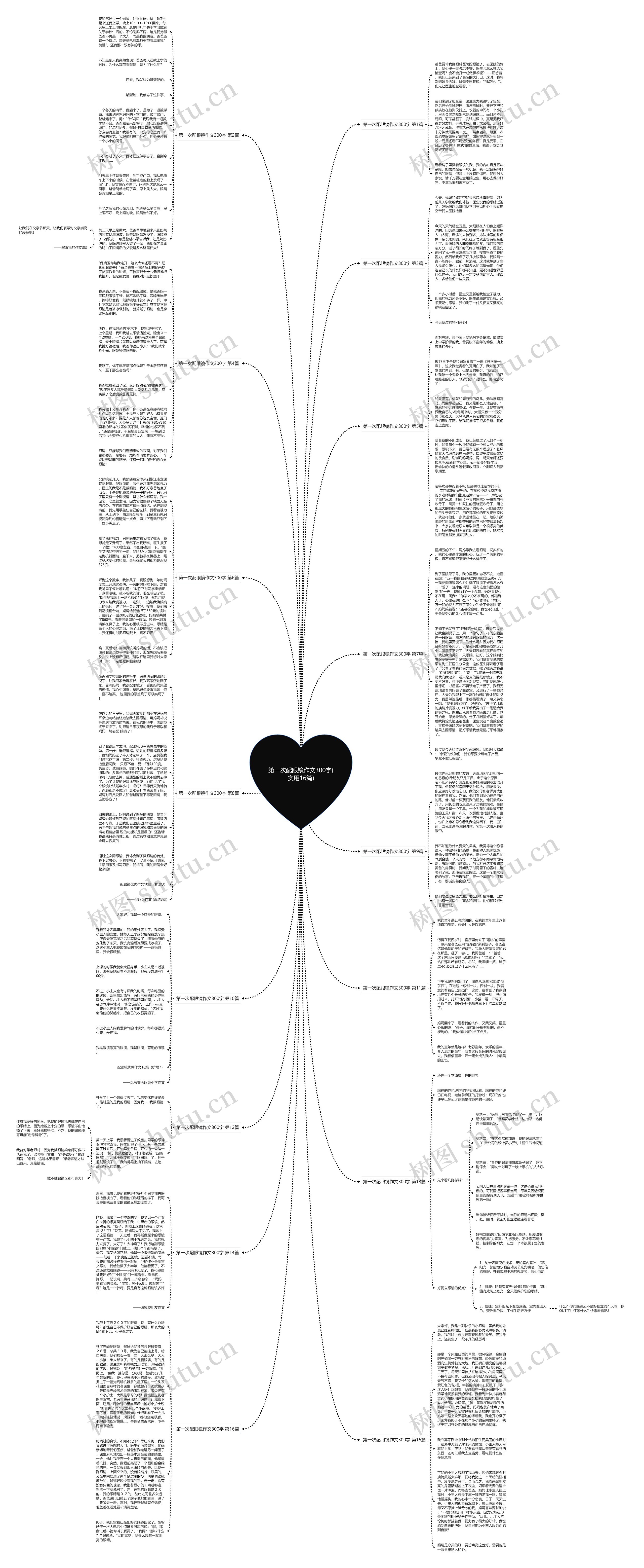第一次配眼镜作文300字(实用16篇)思维导图