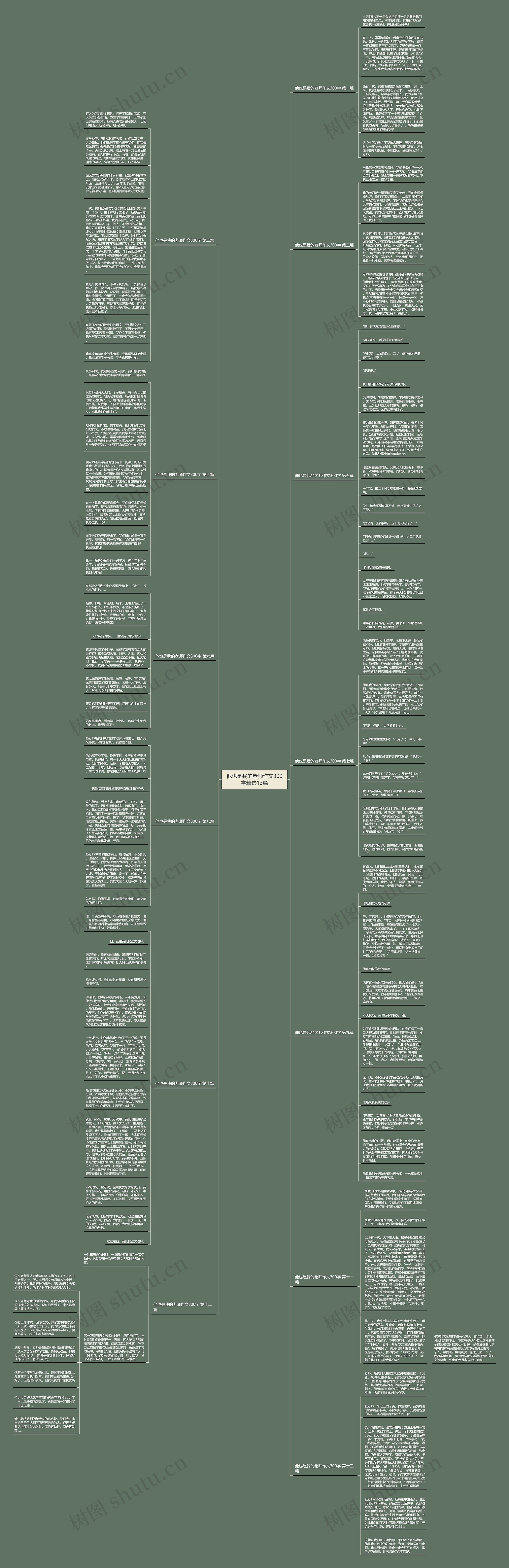他也是我的老师作文300字精选13篇思维导图