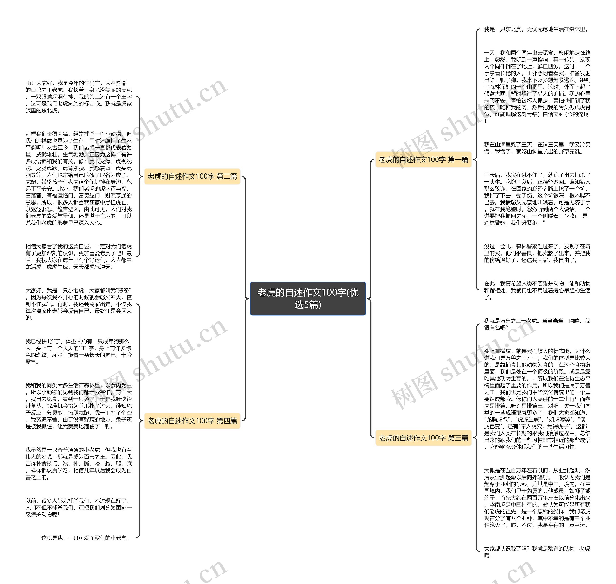 老虎的自述作文100字(优选5篇)思维导图