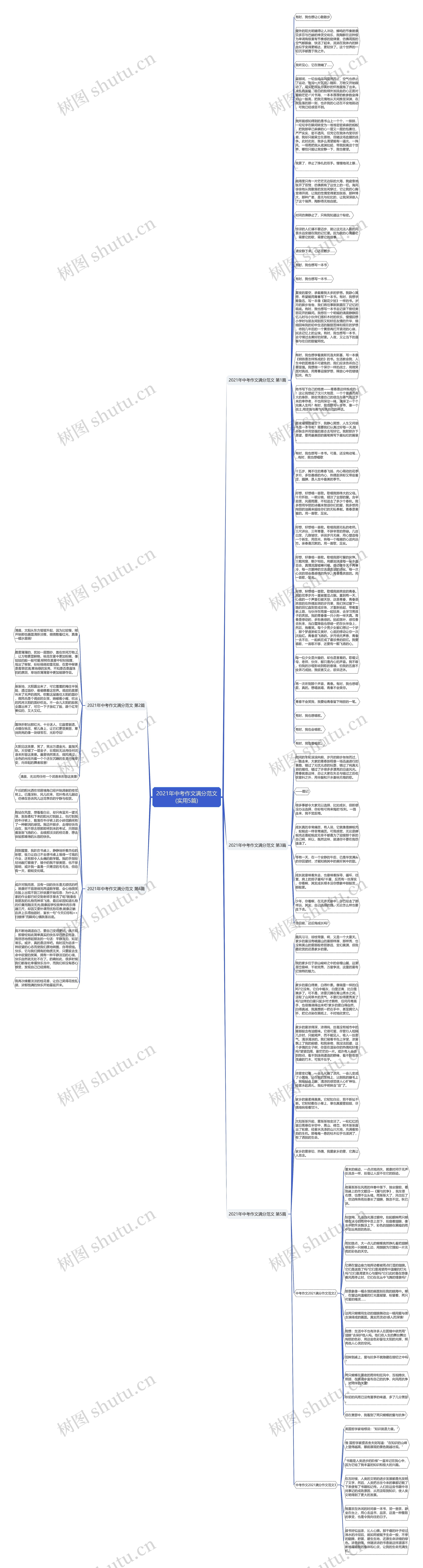 2021年中考作文满分范文(实用5篇)思维导图