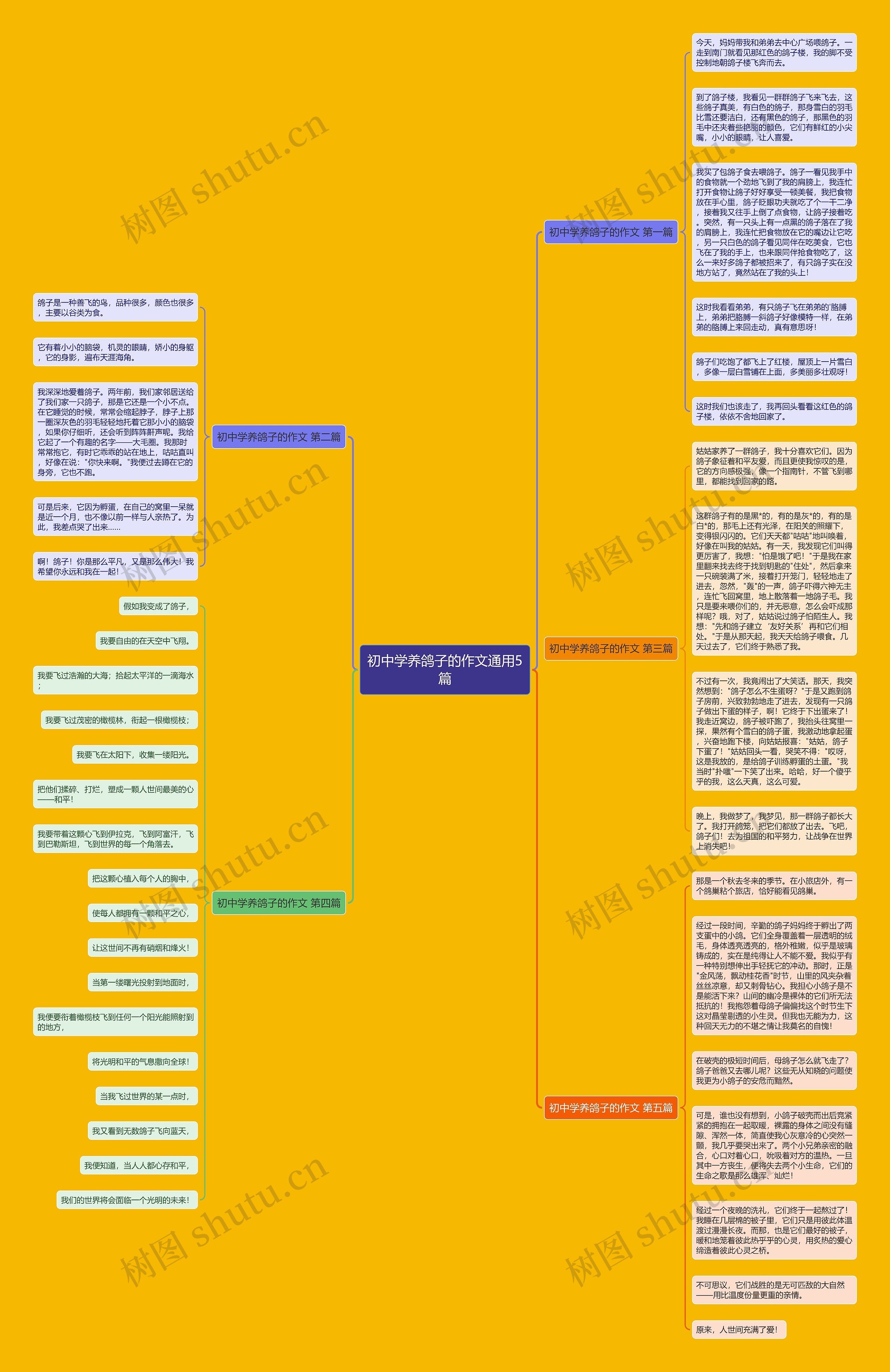 初中学养鸽子的作文通用5篇 初中学养鸽子的作文通用5篇