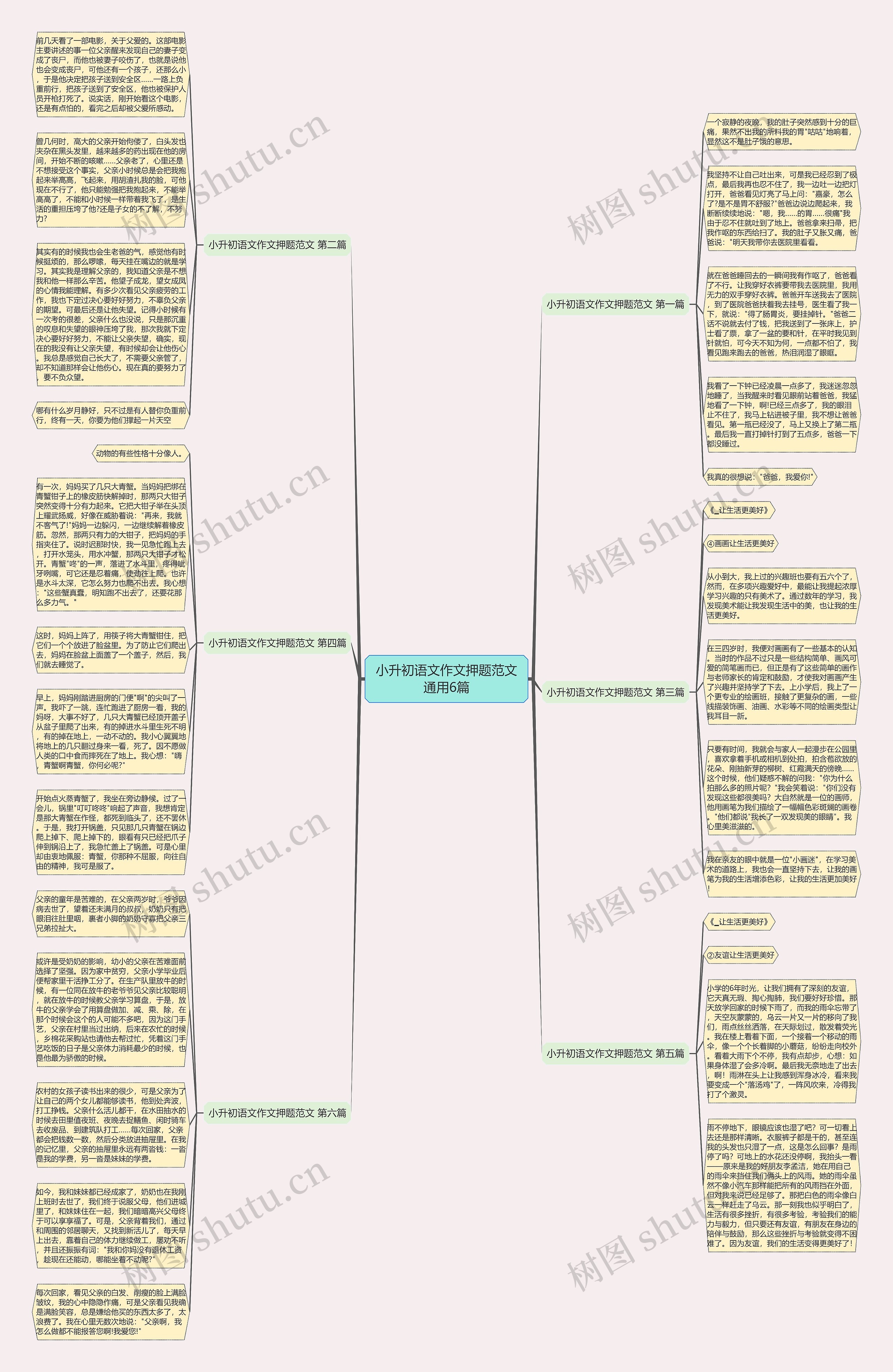 小升初语文作文押题范文通用6篇思维导图