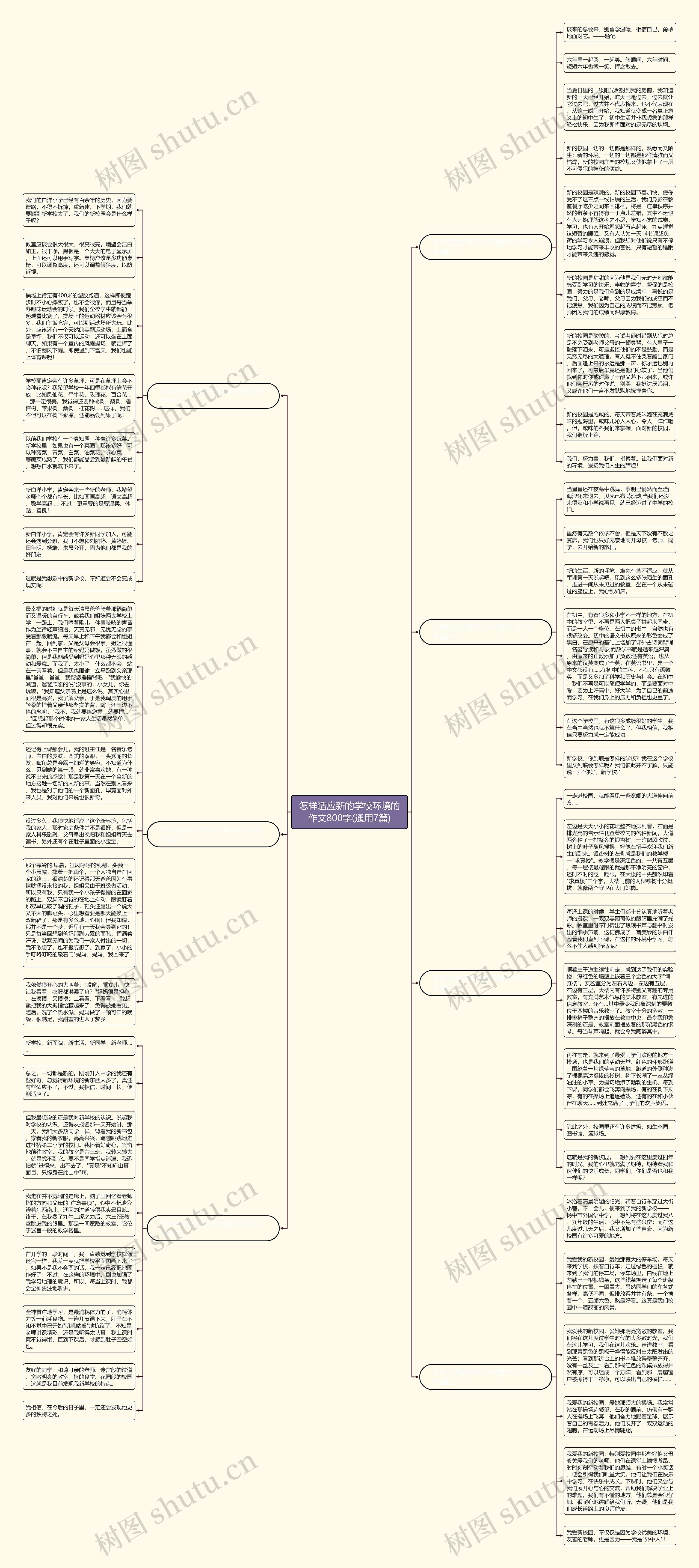 怎样适应新的学校环境的作文800字(通用7篇)思维导图