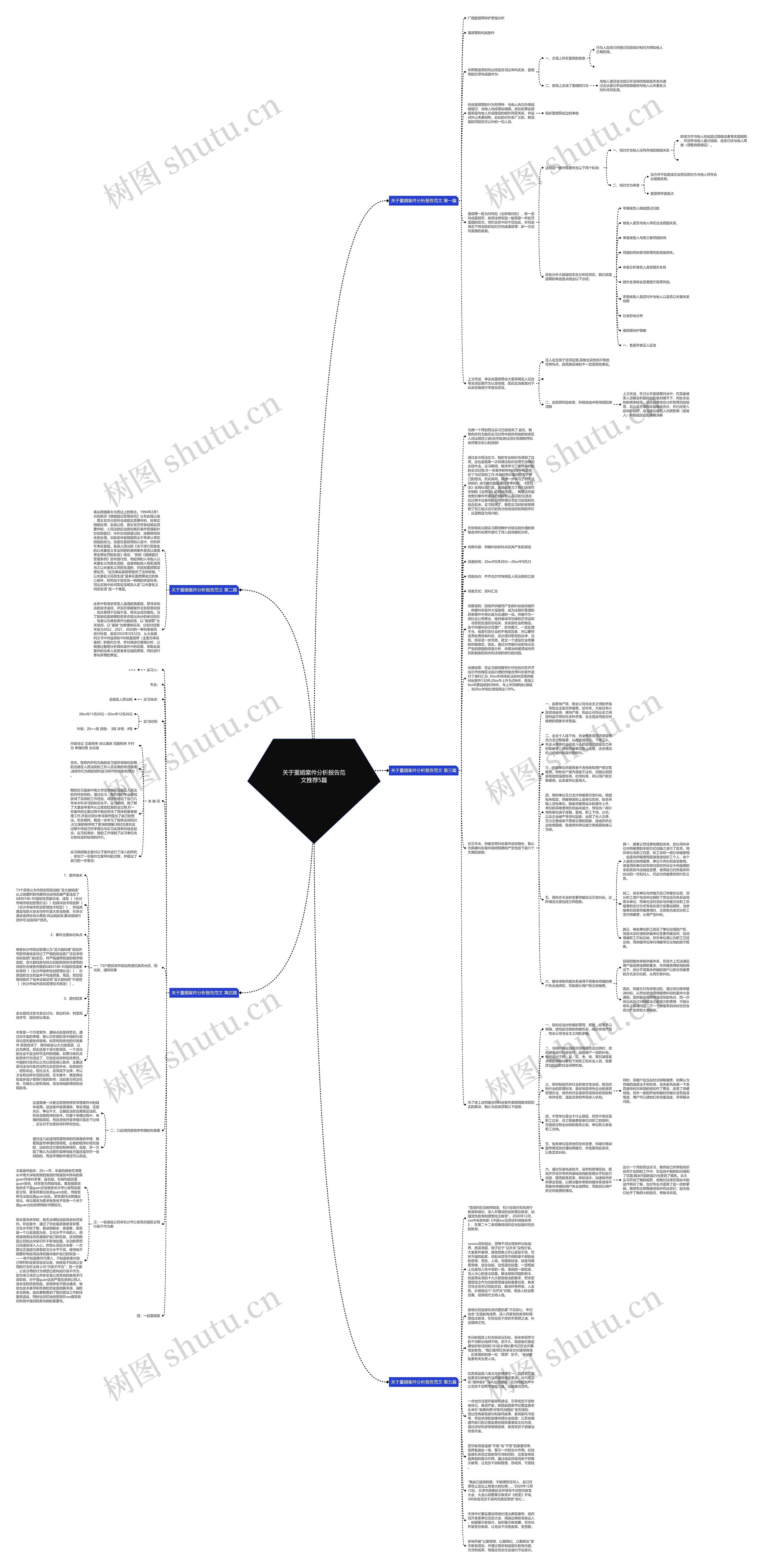 关于重婚案件分析报告范文推荐5篇思维导图