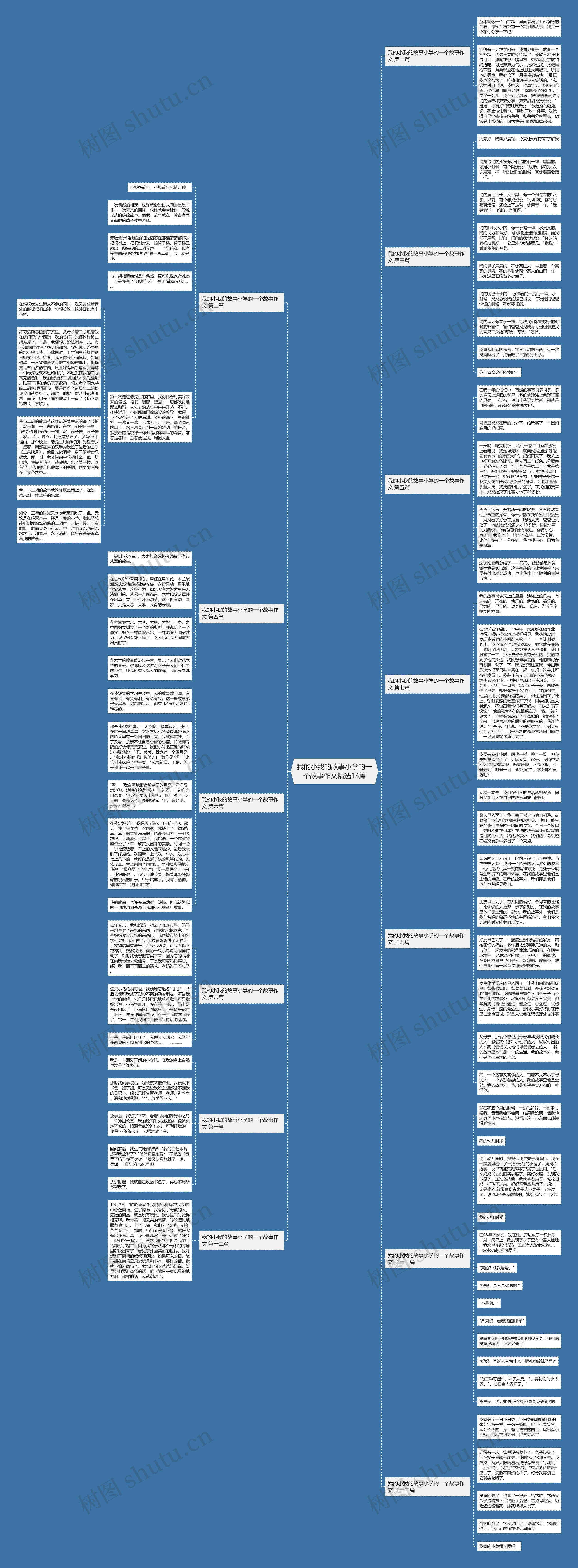 我的小我的故事小学的一个故事作文精选13篇思维导图