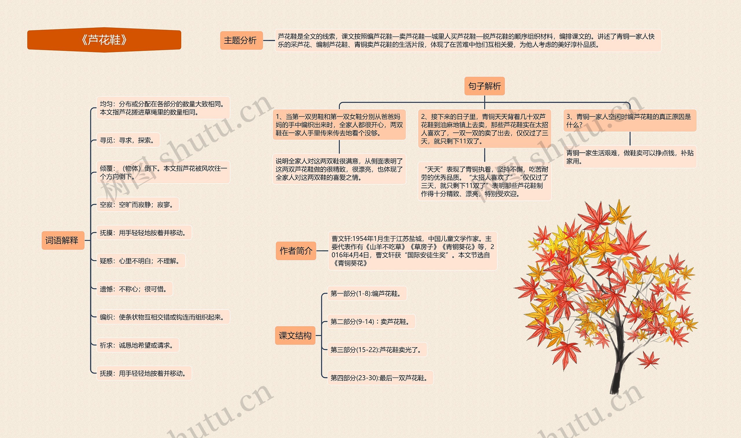 《芦花鞋》思维导图