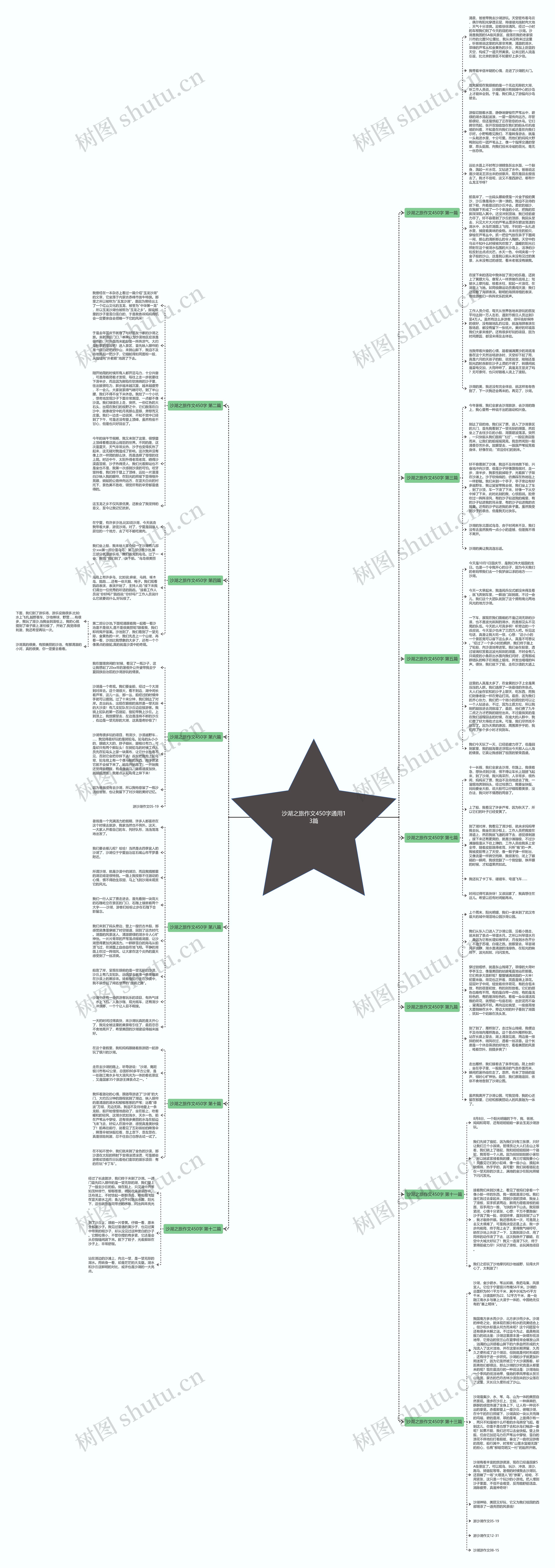 沙湖之旅作文450字通用13篇思维导图