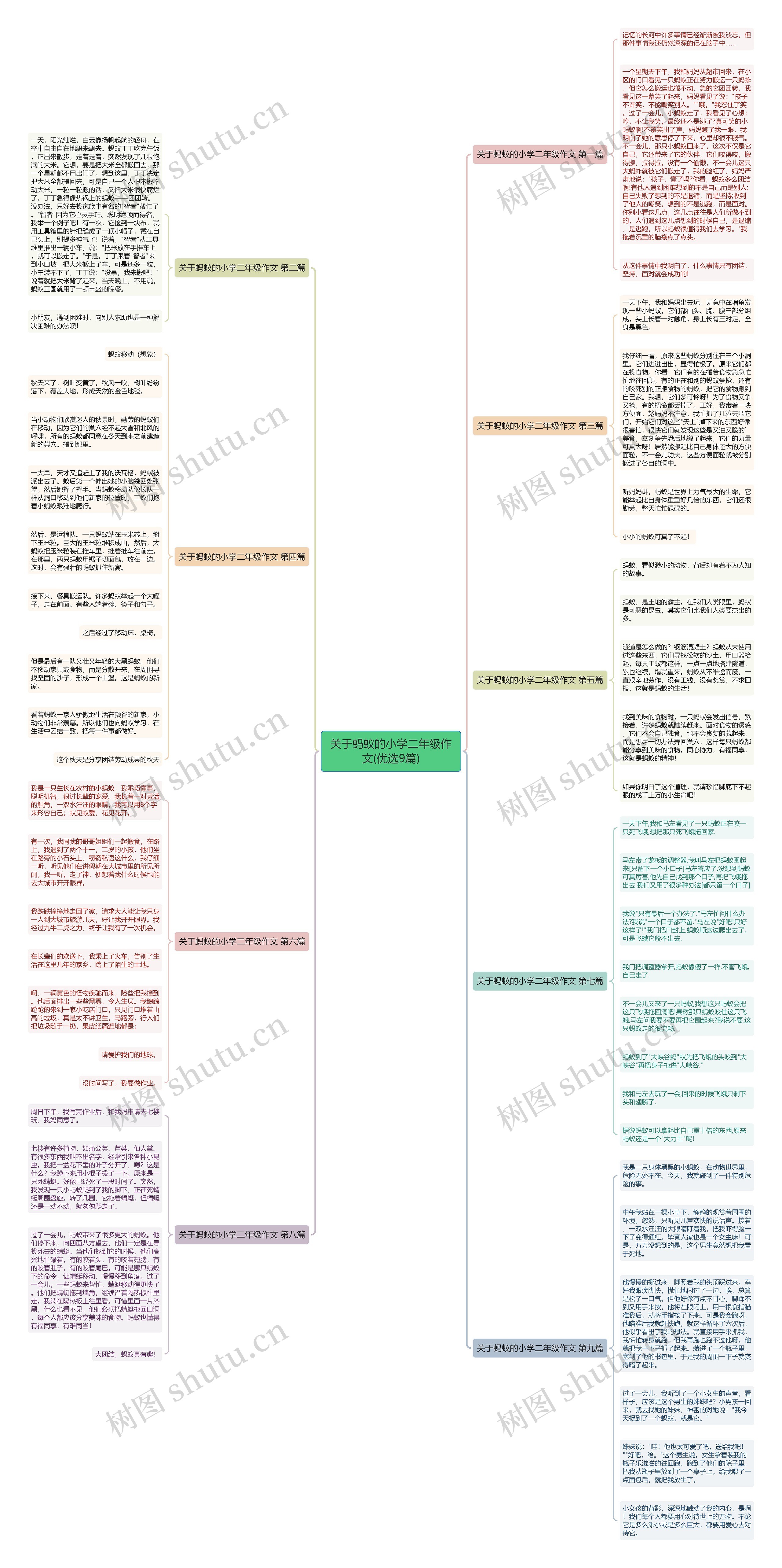 关于蚂蚁的小学二年级作文(优选9篇) 关于蚂蚁的小学二年级作文(优选9篇)