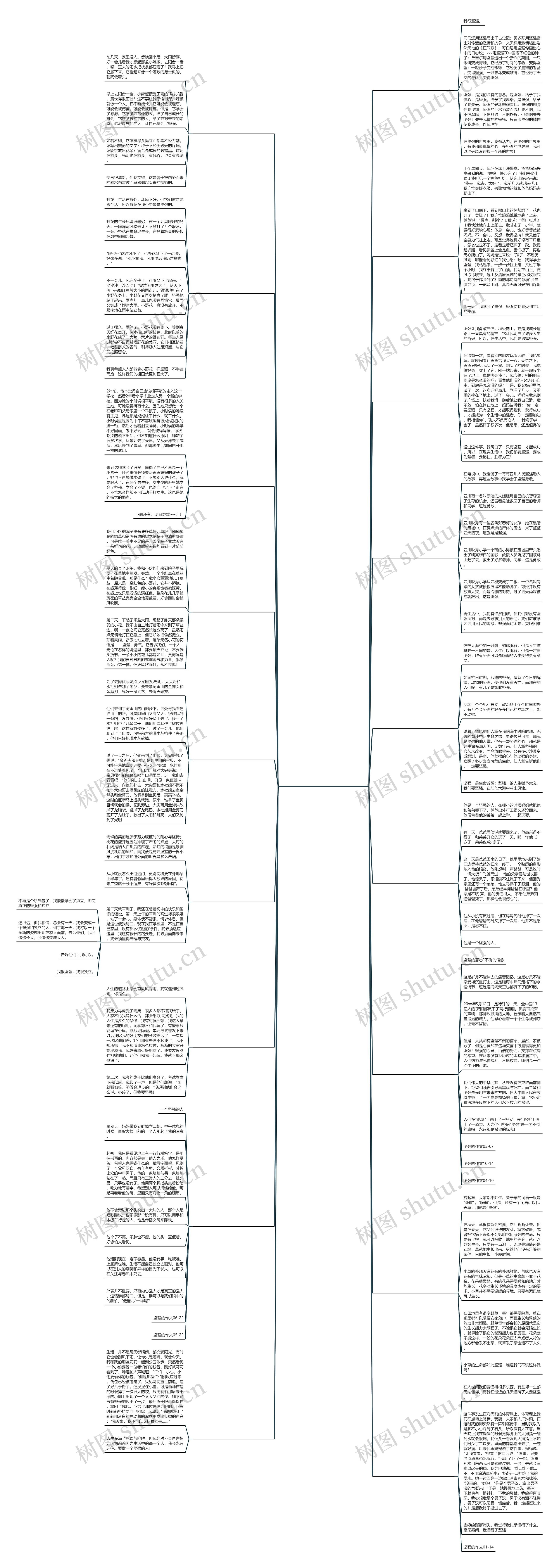 我们身边的坚强故事300字作文共18篇 我们身边的坚强故事300字作文共18篇