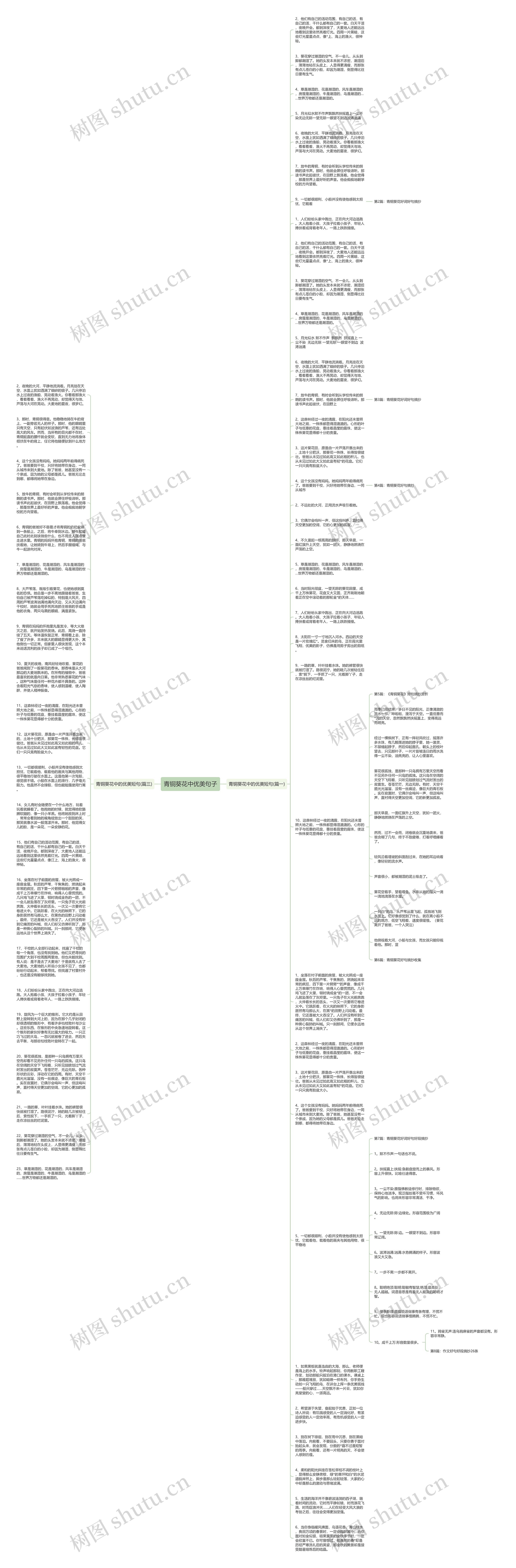 青铜葵花中优美句子思维导图