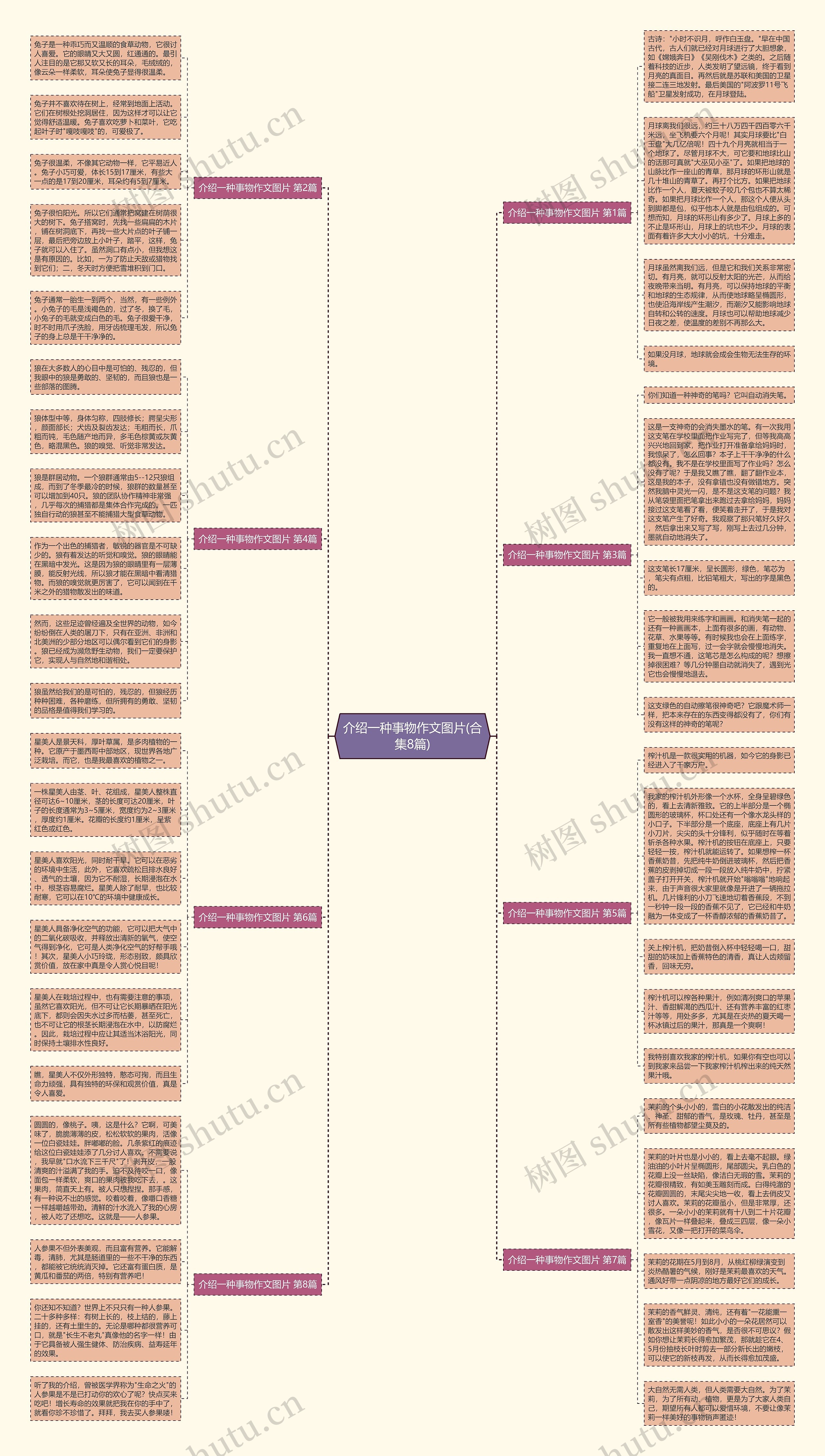 介绍一种事物作文图片(合集8篇)思维导图