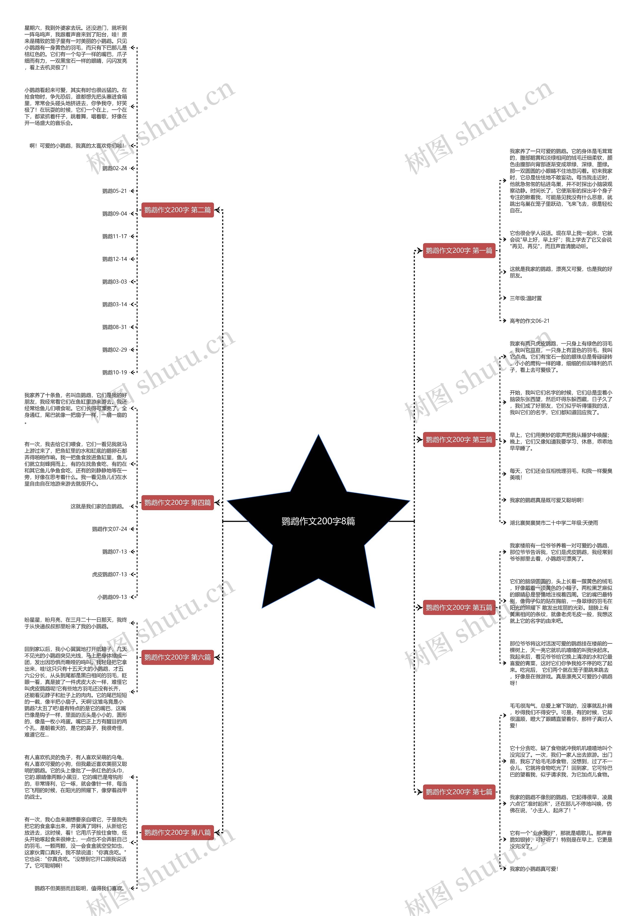 鹦鹉作文200字8篇思维导图