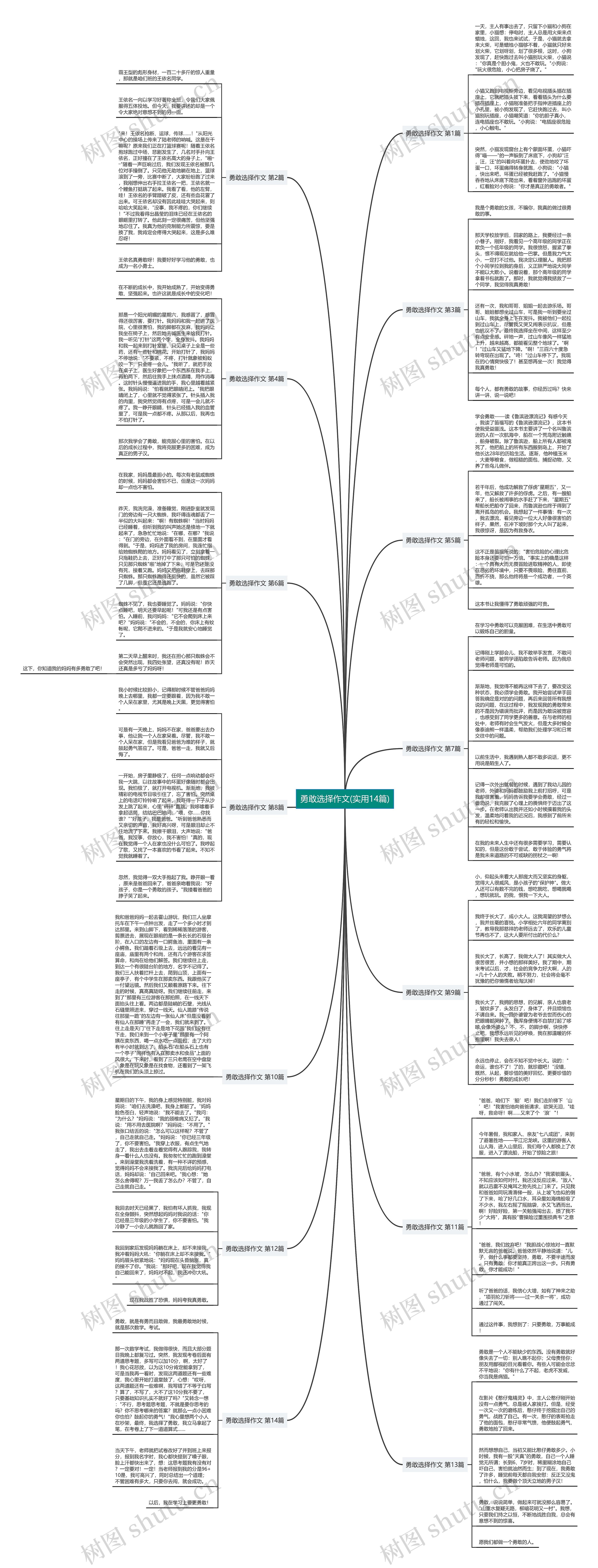 勇敢选择作文(实用14篇)思维导图