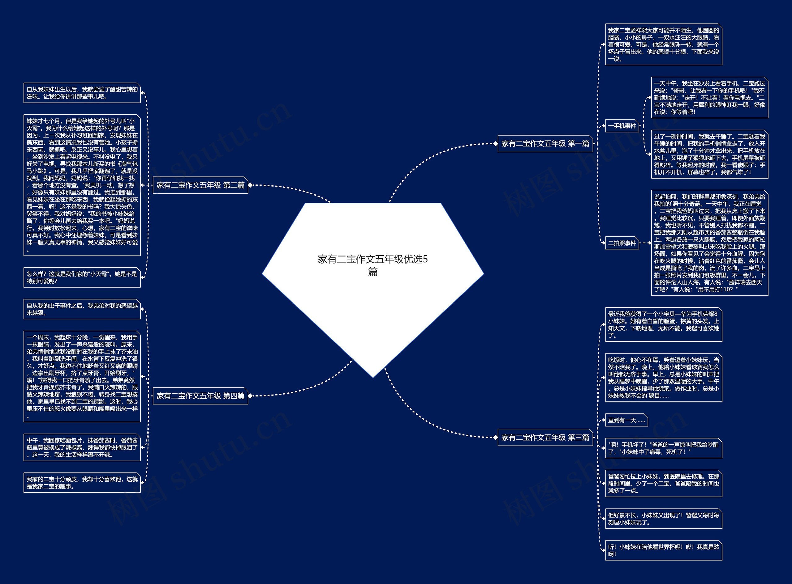 家有二宝作文五年级优选5篇思维导图