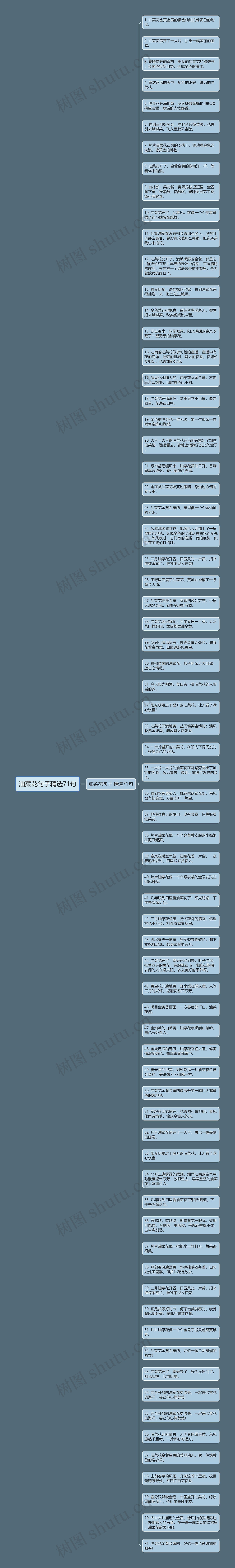 油菜花句子精选71句思维导图高清图 油菜花句子精选71句思维导图