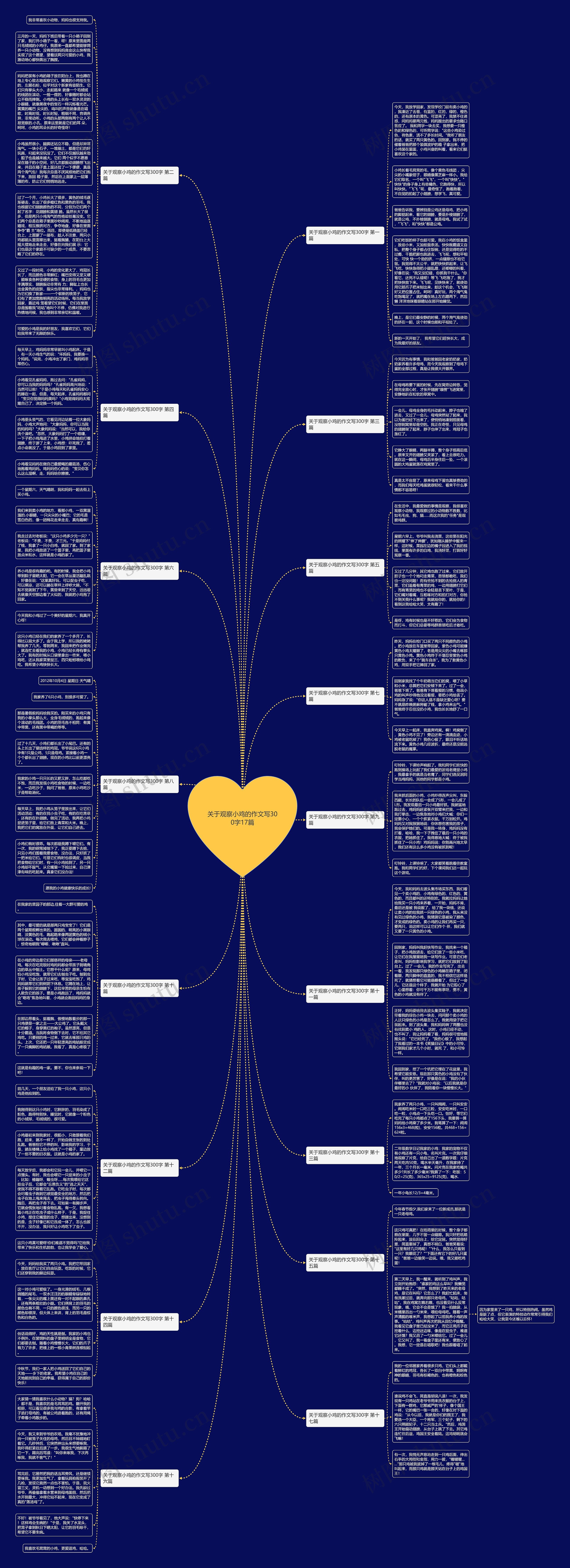 关于观察小鸡的作文写300字17篇思维导图