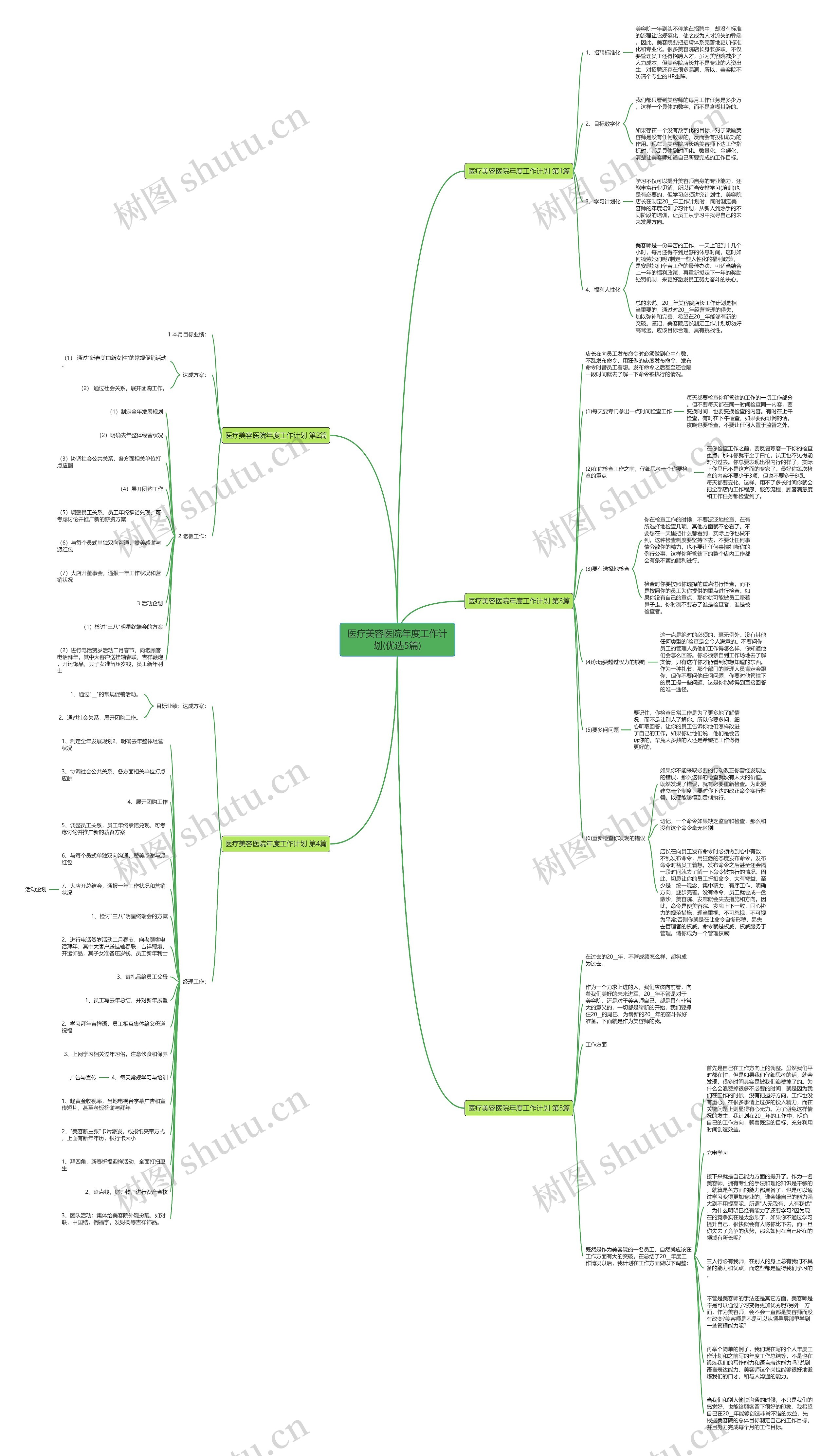 医疗美容医院年度工作计划(优选5篇)思维导图