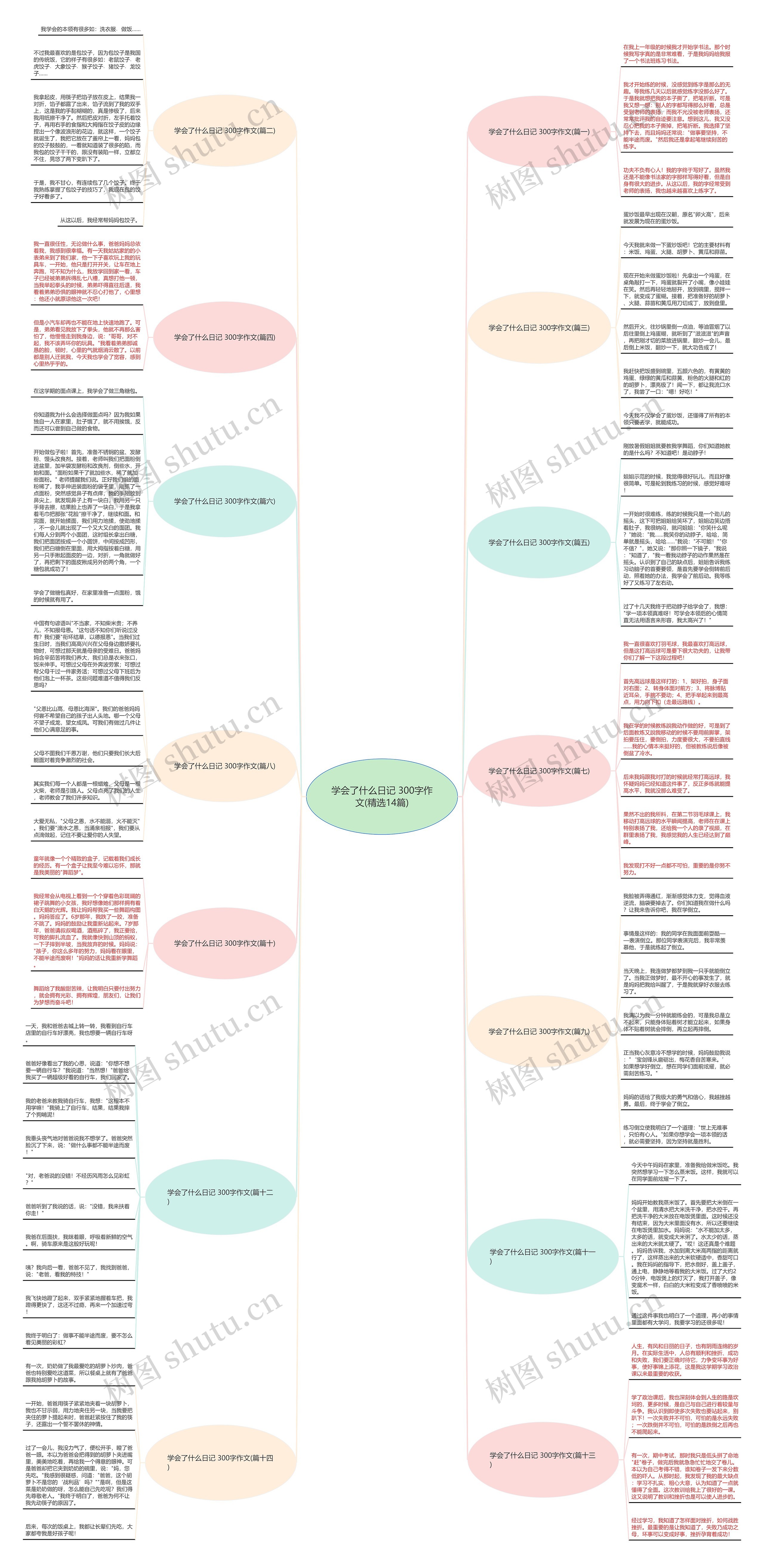 学会了什么日记 300字作文(精选14篇)思维导图