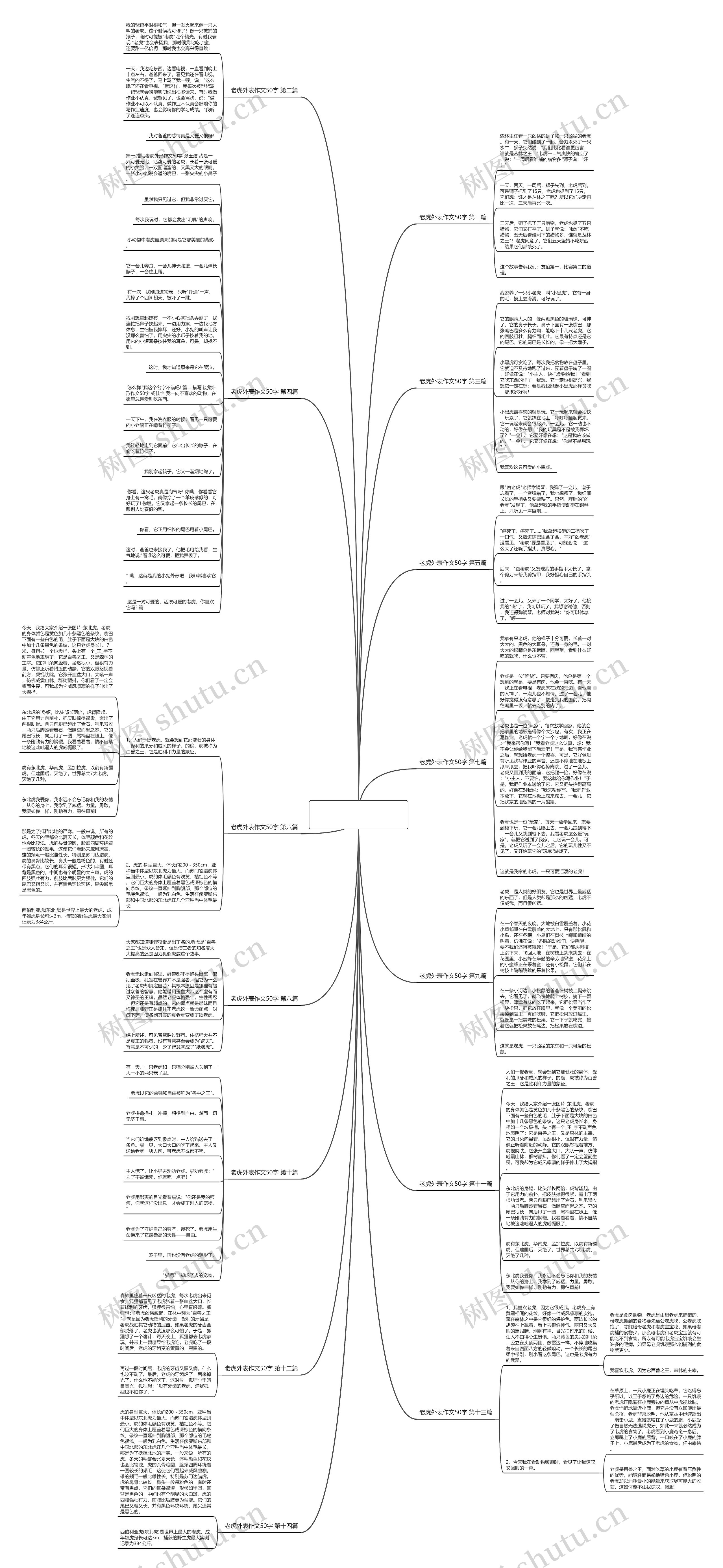 老虎外表作文50字推荐14篇思维导图