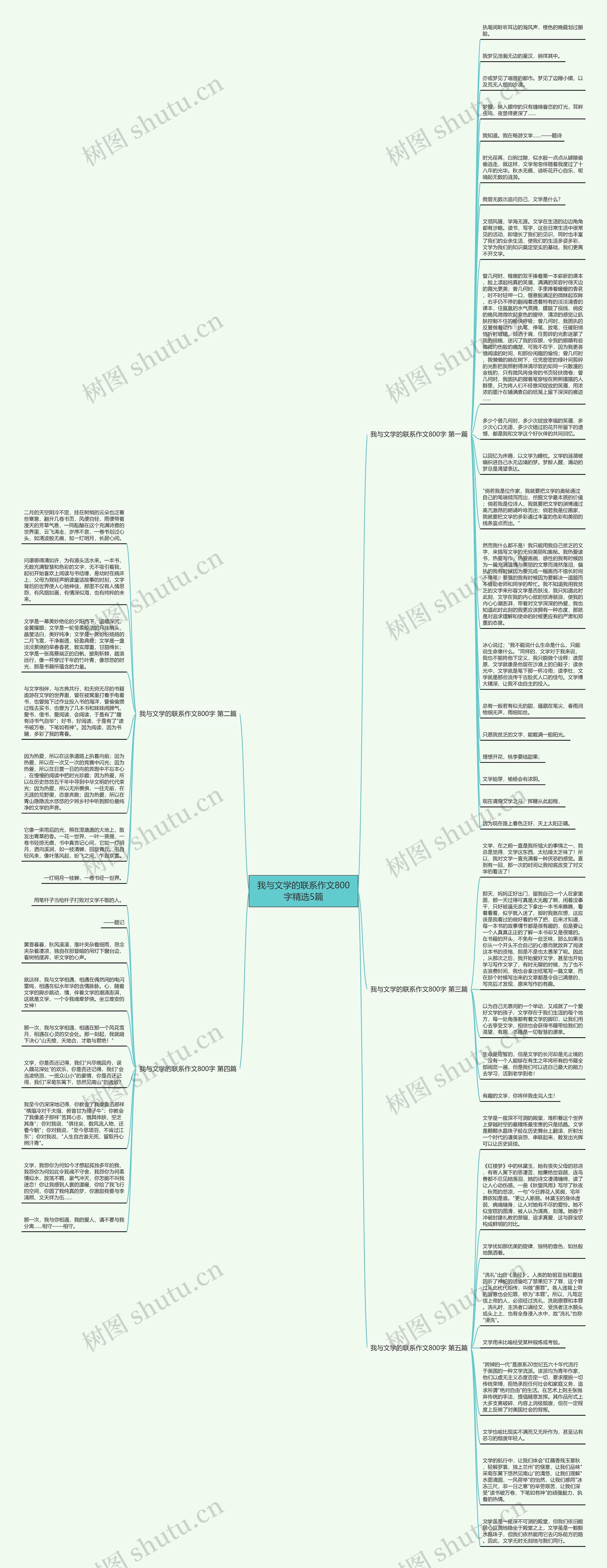我与文学的联系作文800字精选5篇思维导图