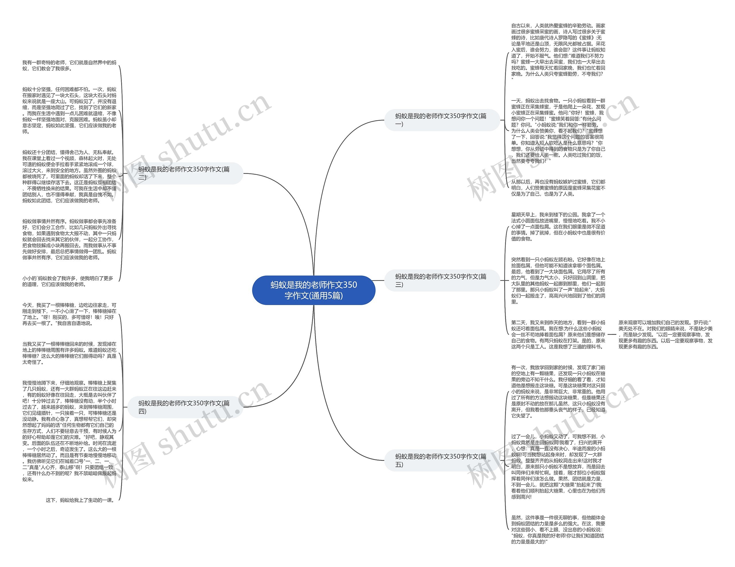 蚂蚁是我的老师作文350字作文(通用5篇)思维导图