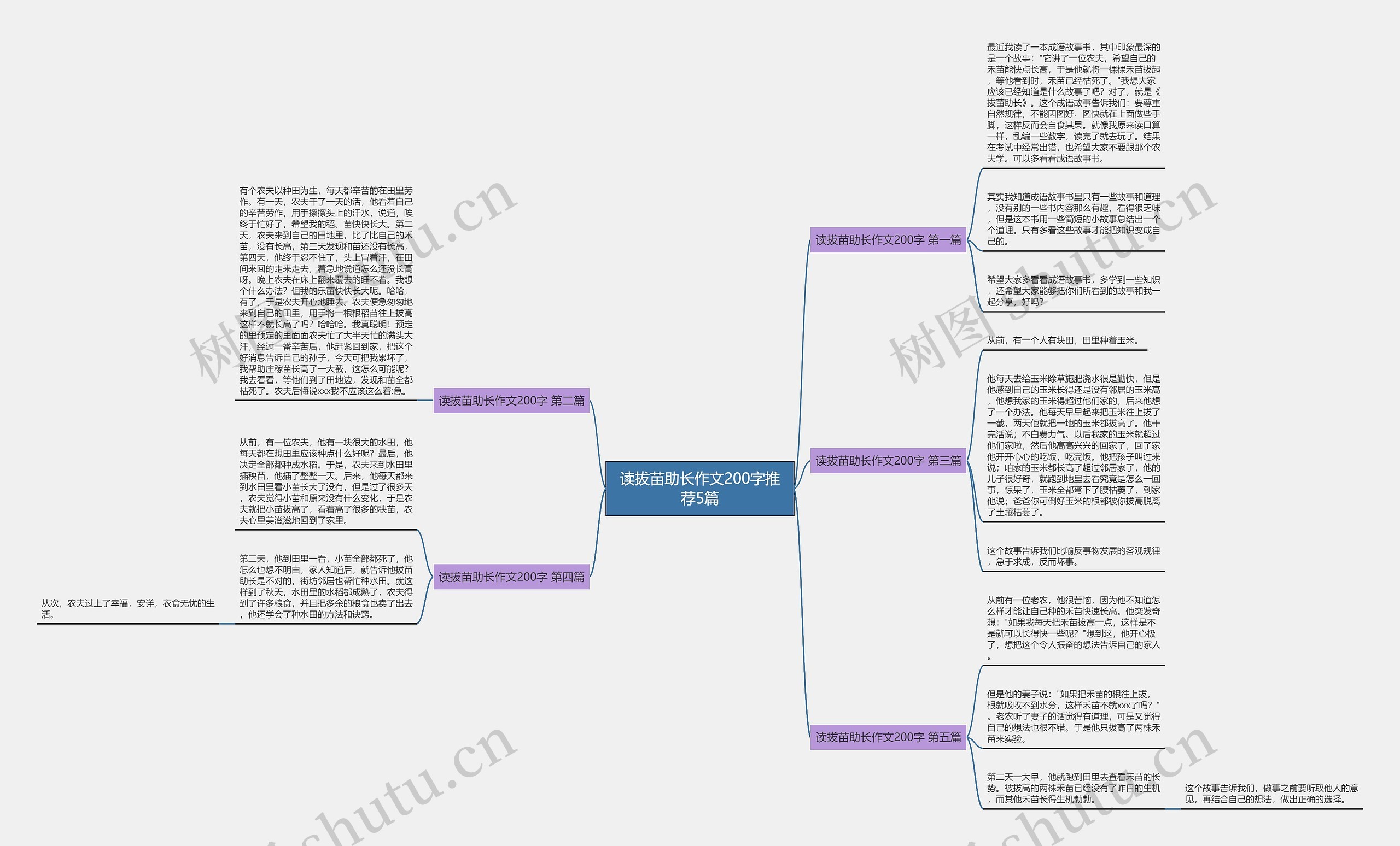 读拔苗助长作文200字推荐5篇思维导图