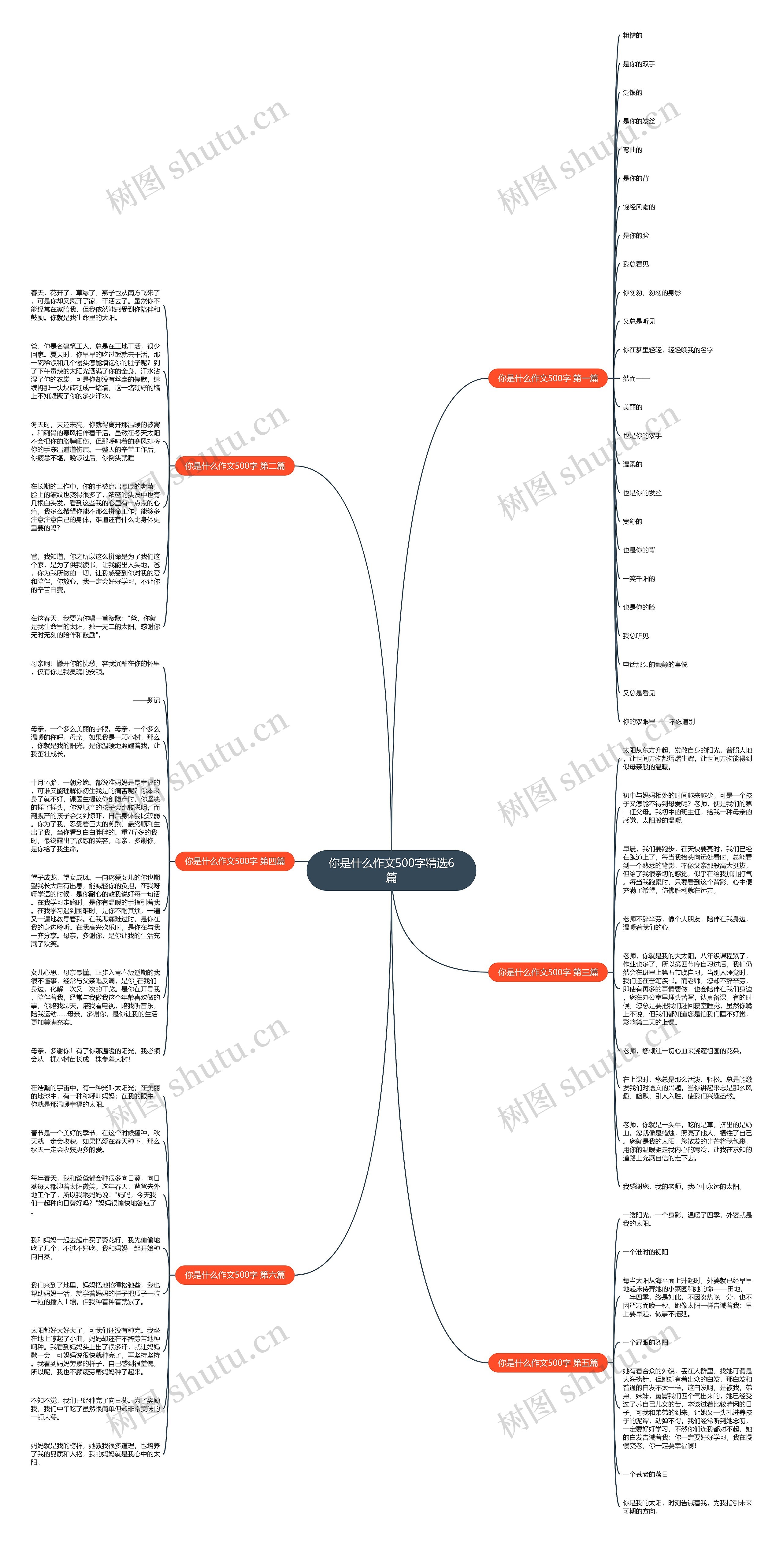 你是什么作文500字精选6篇思维导图
