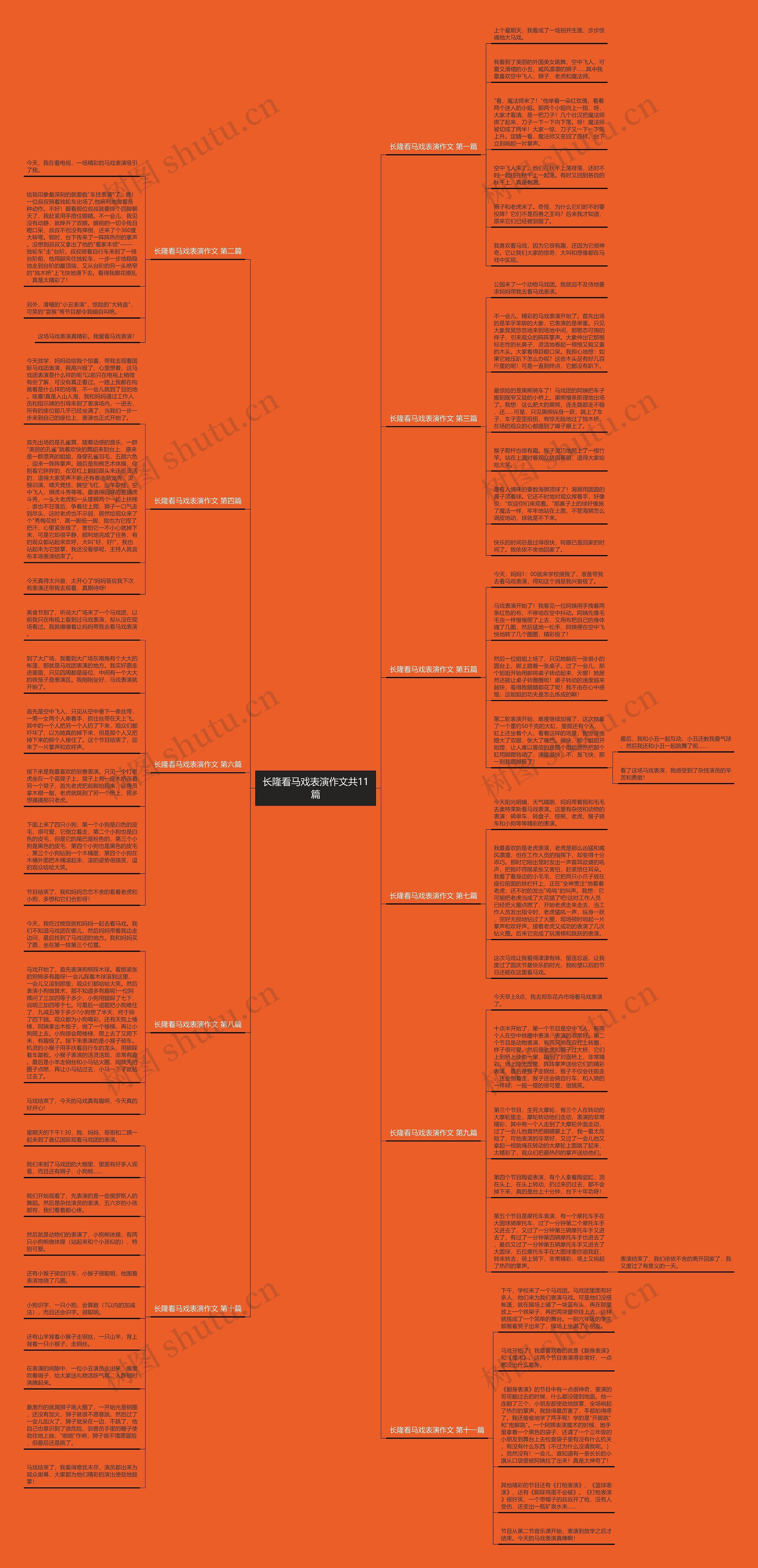 长隆看马戏表演作文共11篇思维导图
