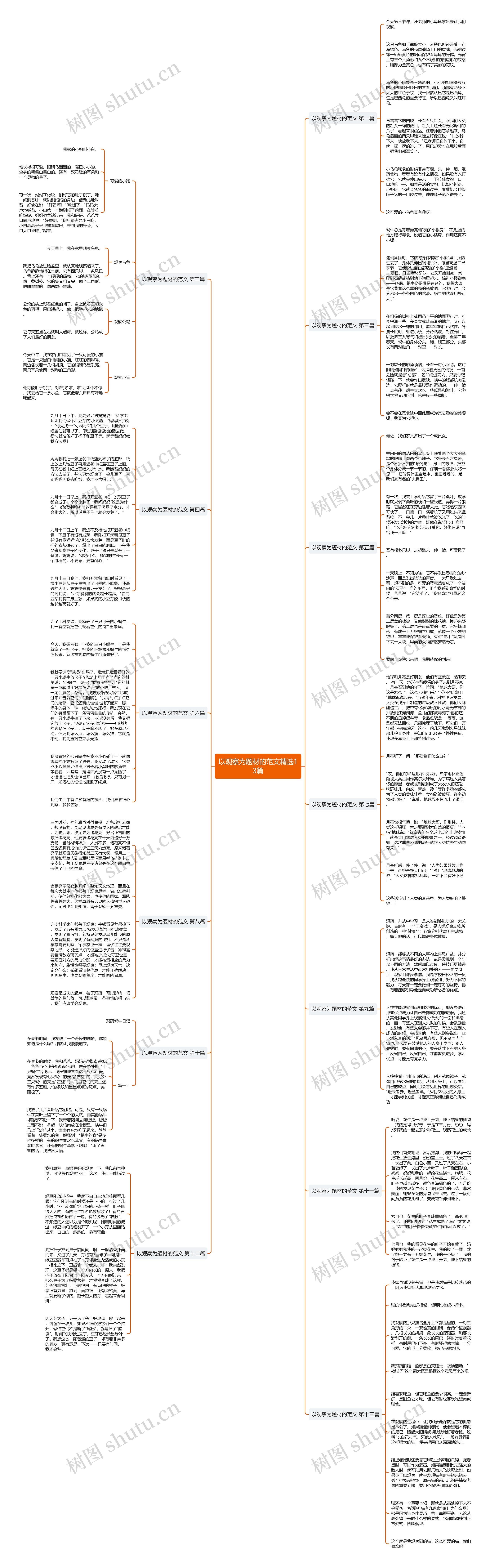 以观察为题材的范文精选13篇思维导图