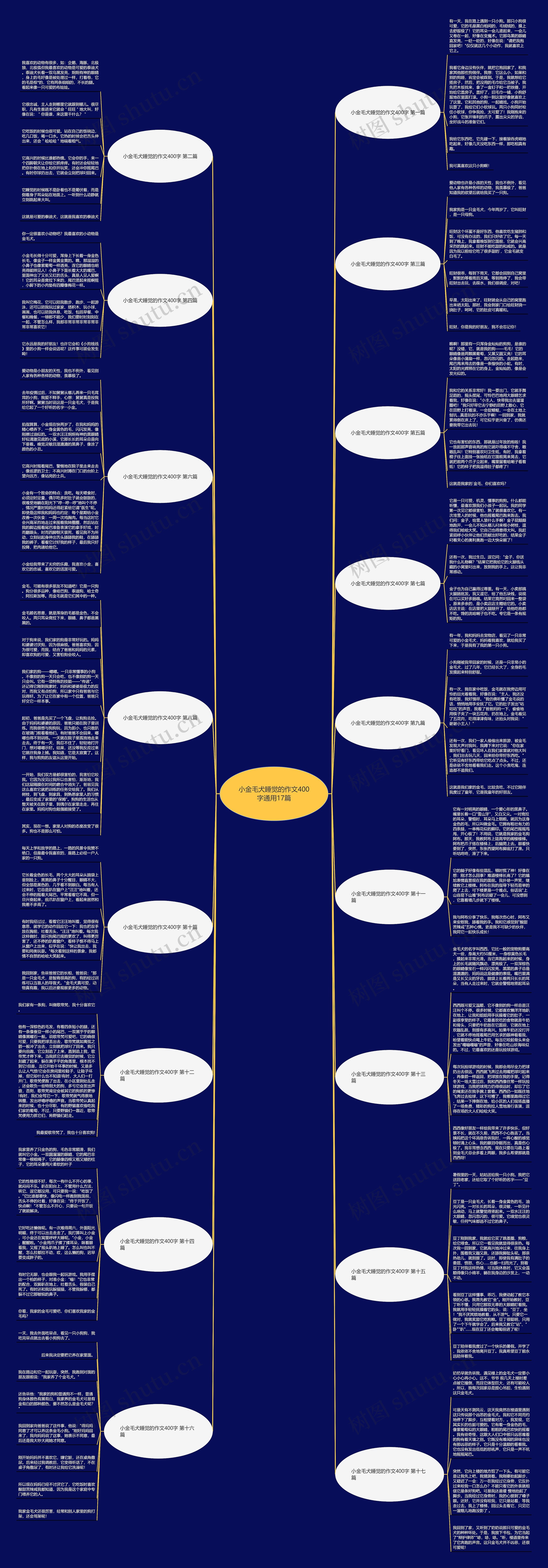 小金毛犬睡觉的作文400字通用17篇思维导图