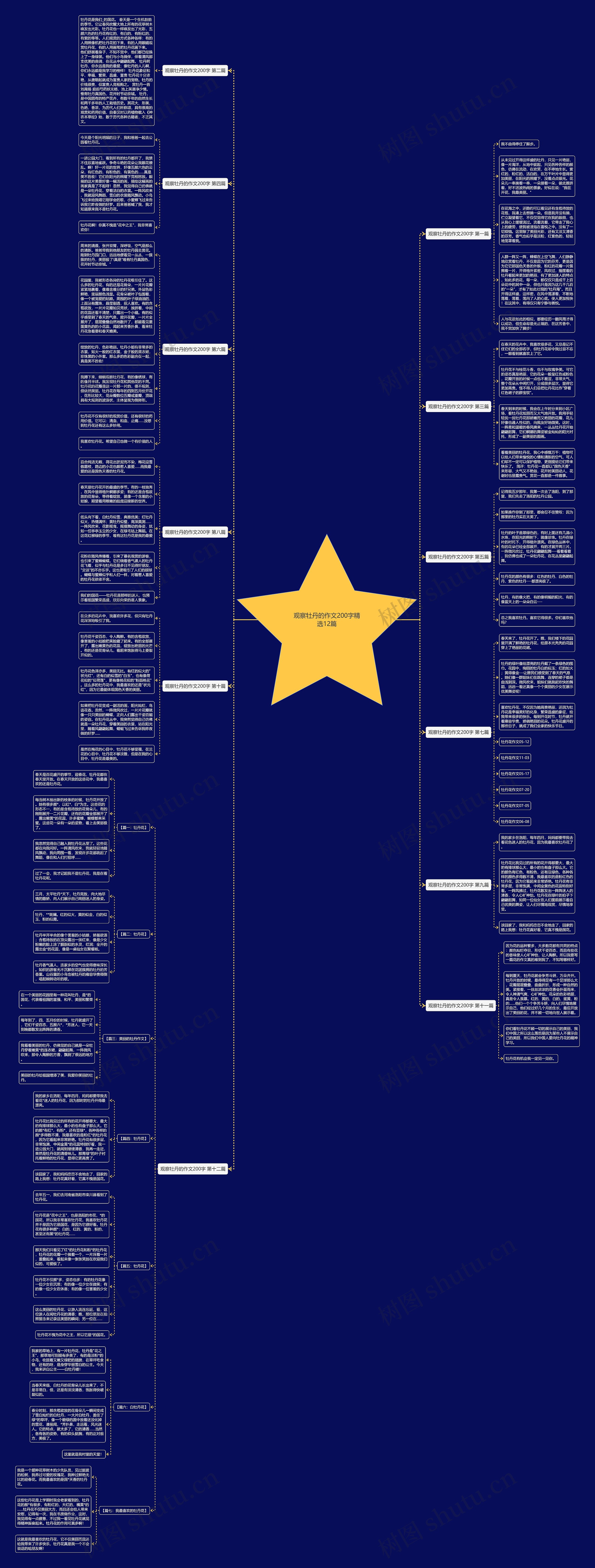 观察牡丹的作文200字精选12篇思维导图