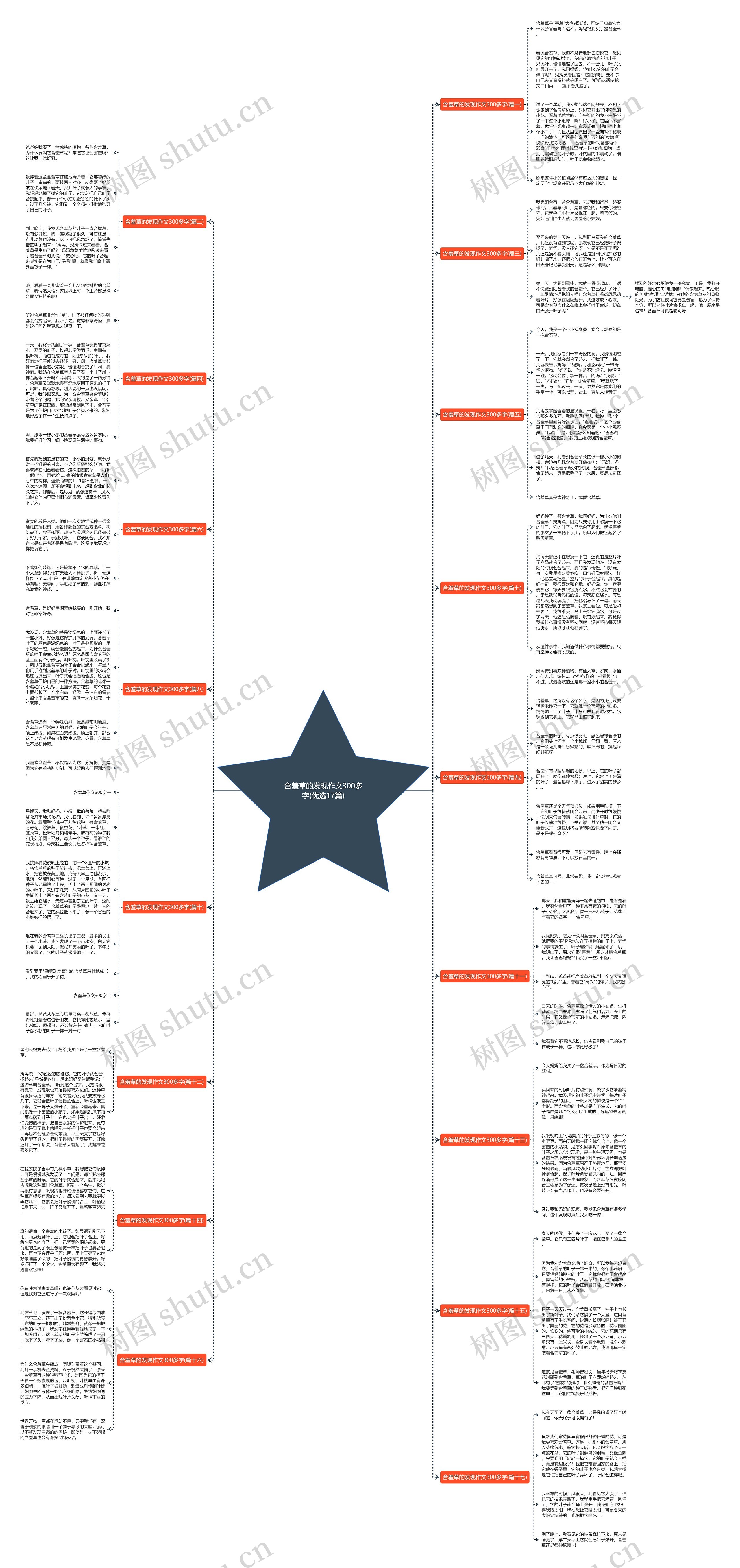 含羞草的发现作文300多字(优选17篇)思维导图