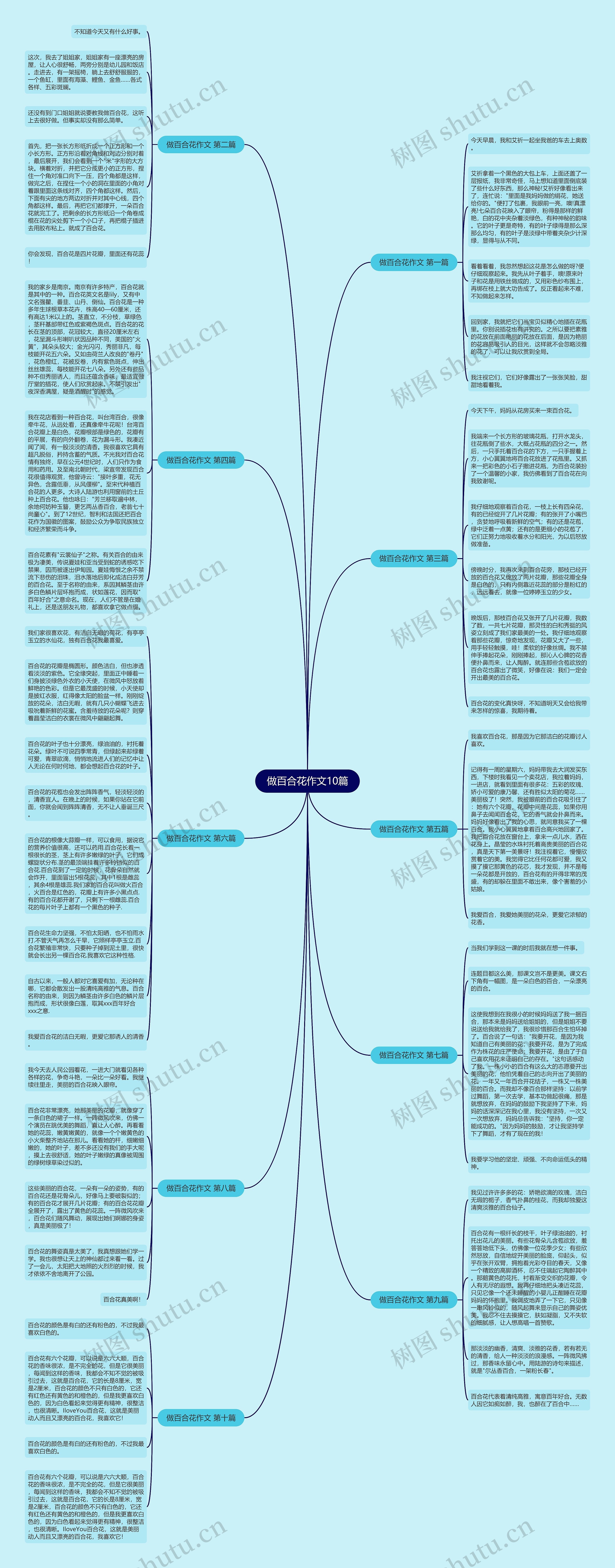 做百合花作文10篇思维导图